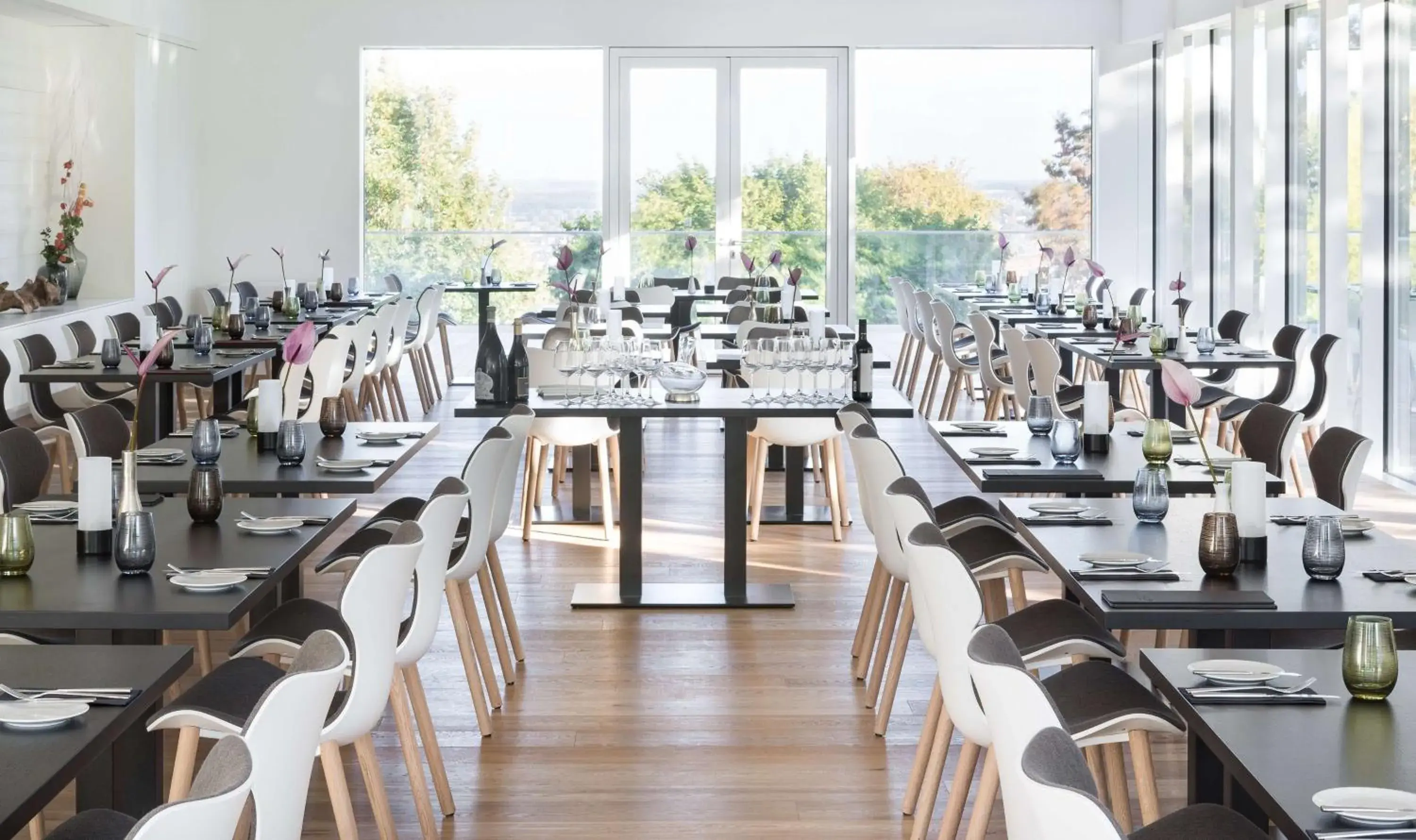 Restaurant/places to eat in SCOTTY & EMILY Hotel Ulm Restaurant/places to eat in SCOTTY & EMILY Hotel Ulm