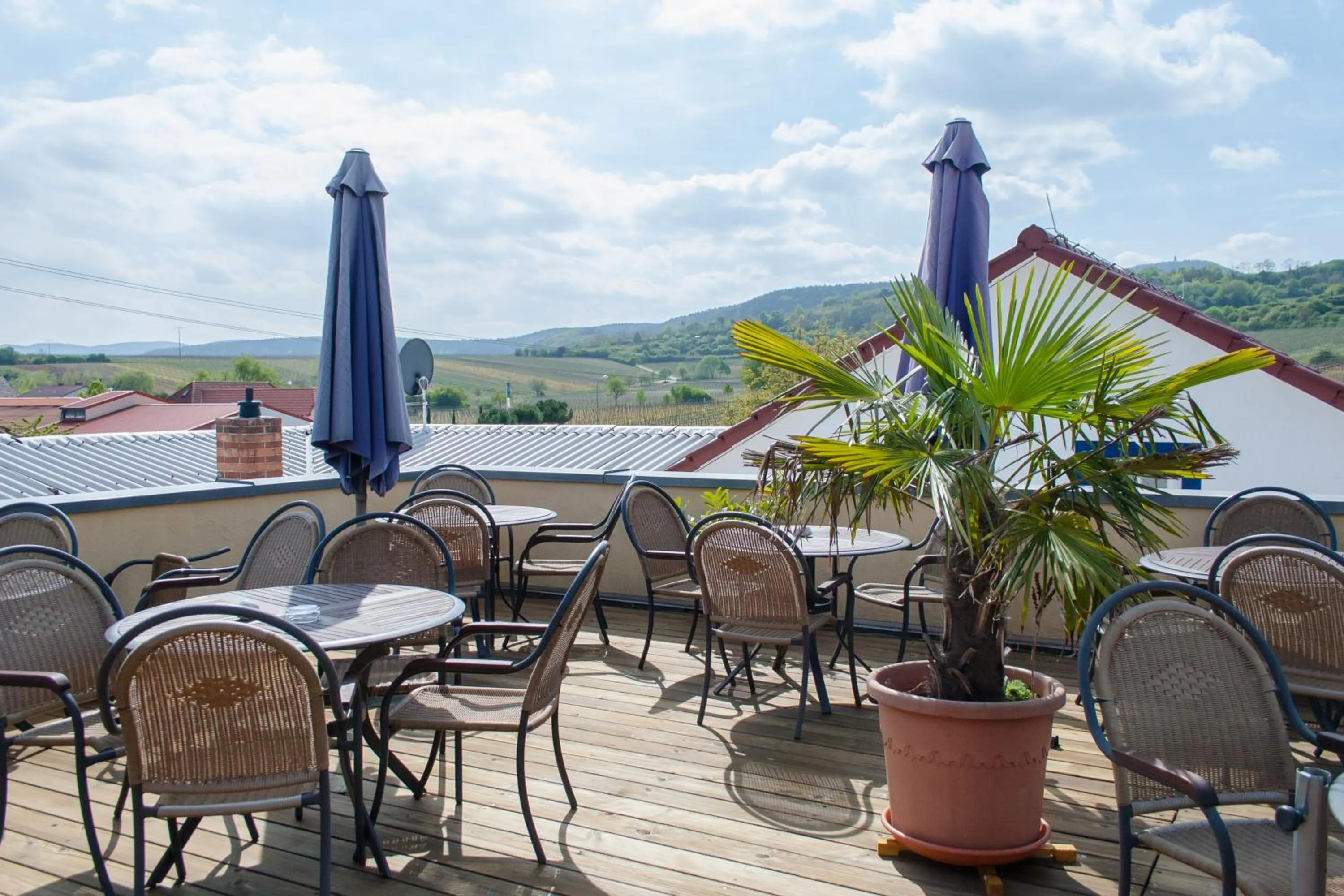 Balcony/Terrace in Cleo´s Hotel Kallstadt
