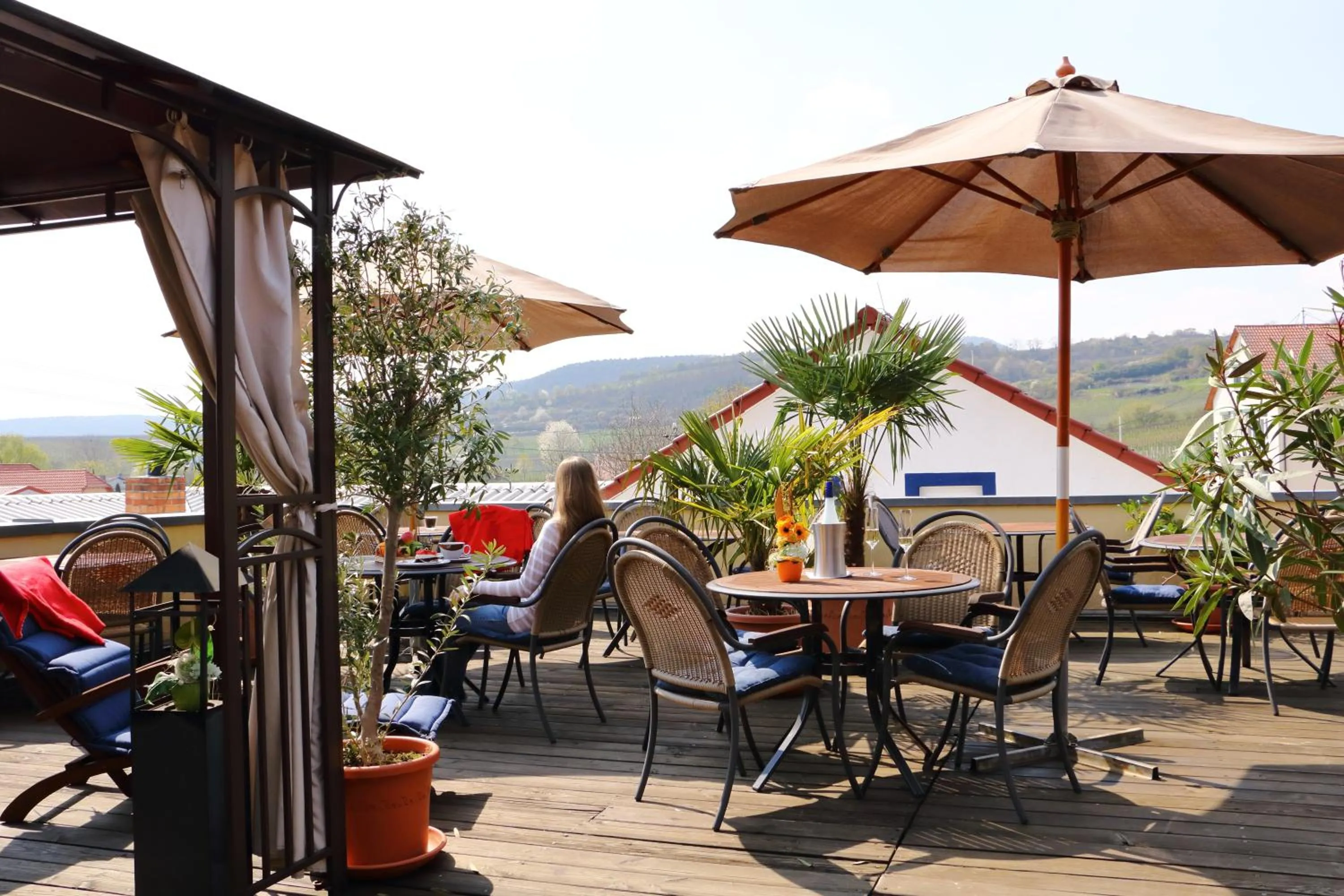 Balcony/Terrace in Cleo´s Hotel Kallstadt