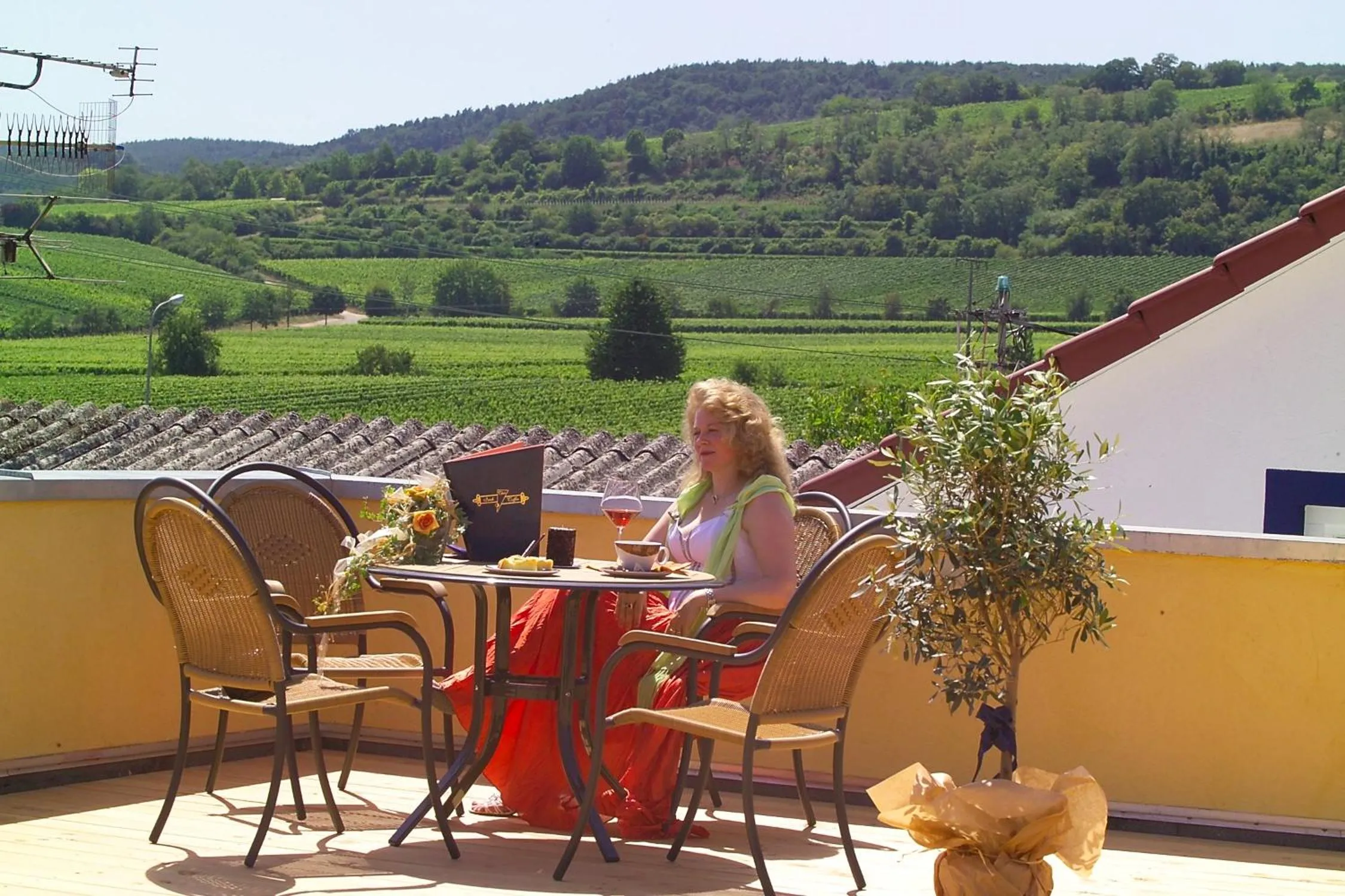 Balcony/Terrace in Cleo´s Hotel Kallstadt
