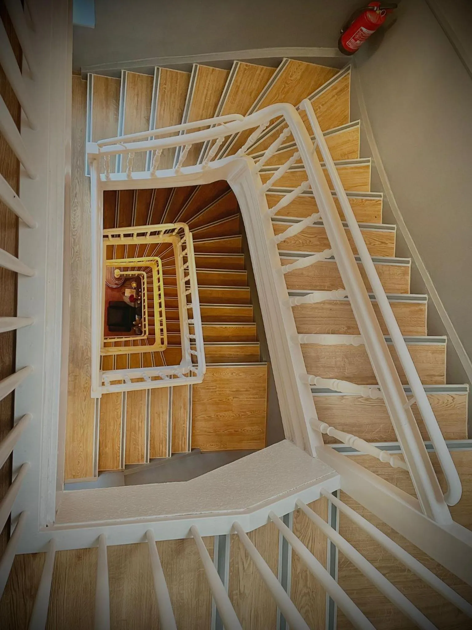 Property building in Hotel Am Volksgarten