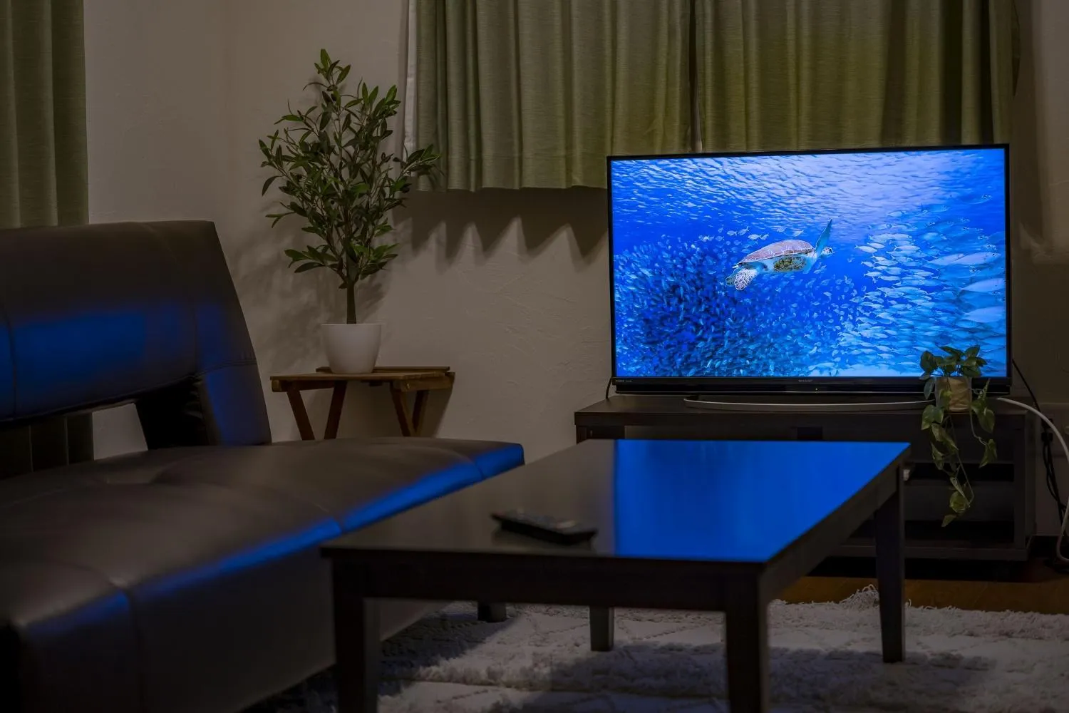 TV and multimedia in Ocean Front Maezato