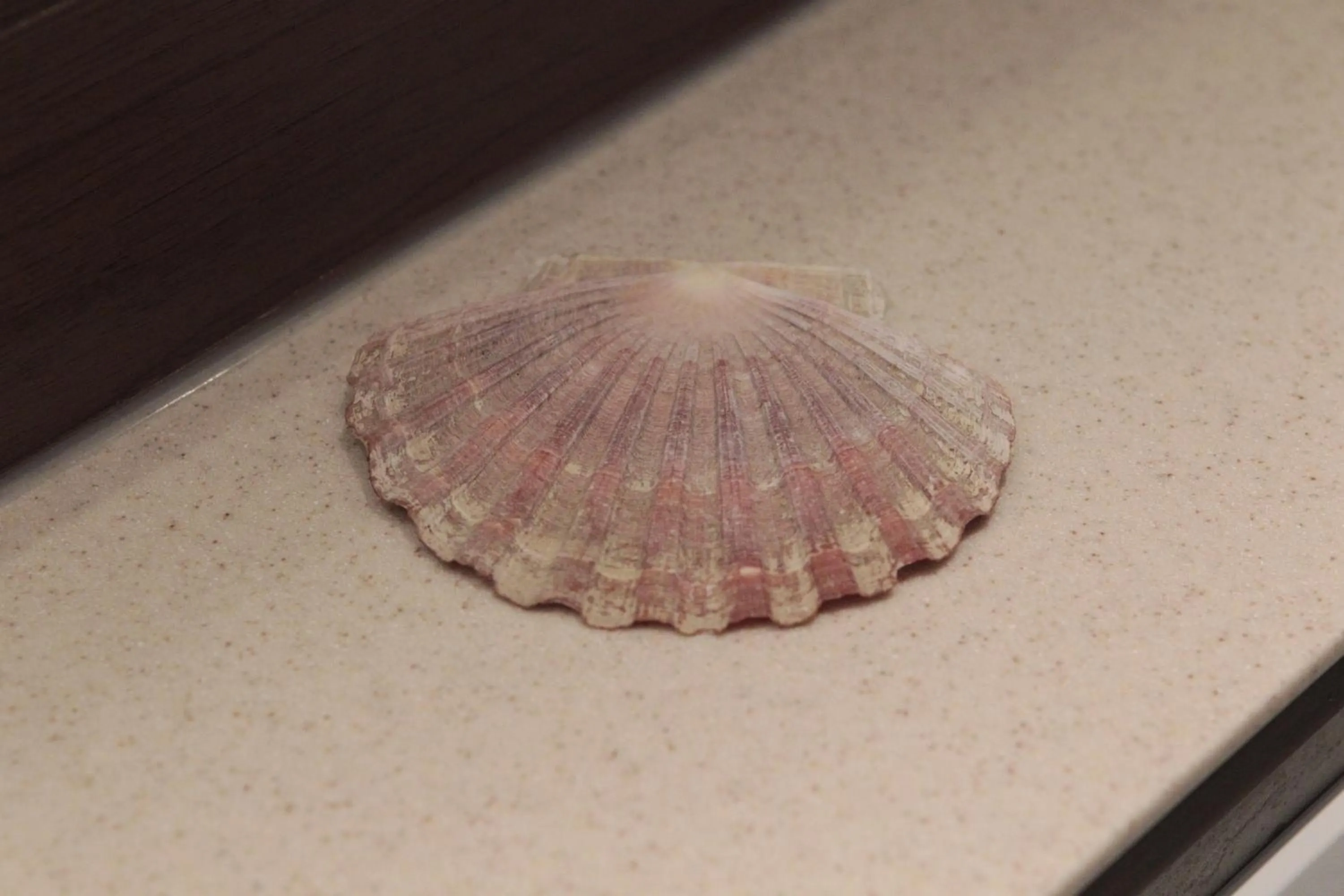 Decorative detail in Hotel-Restaurant Pfälzer Hof