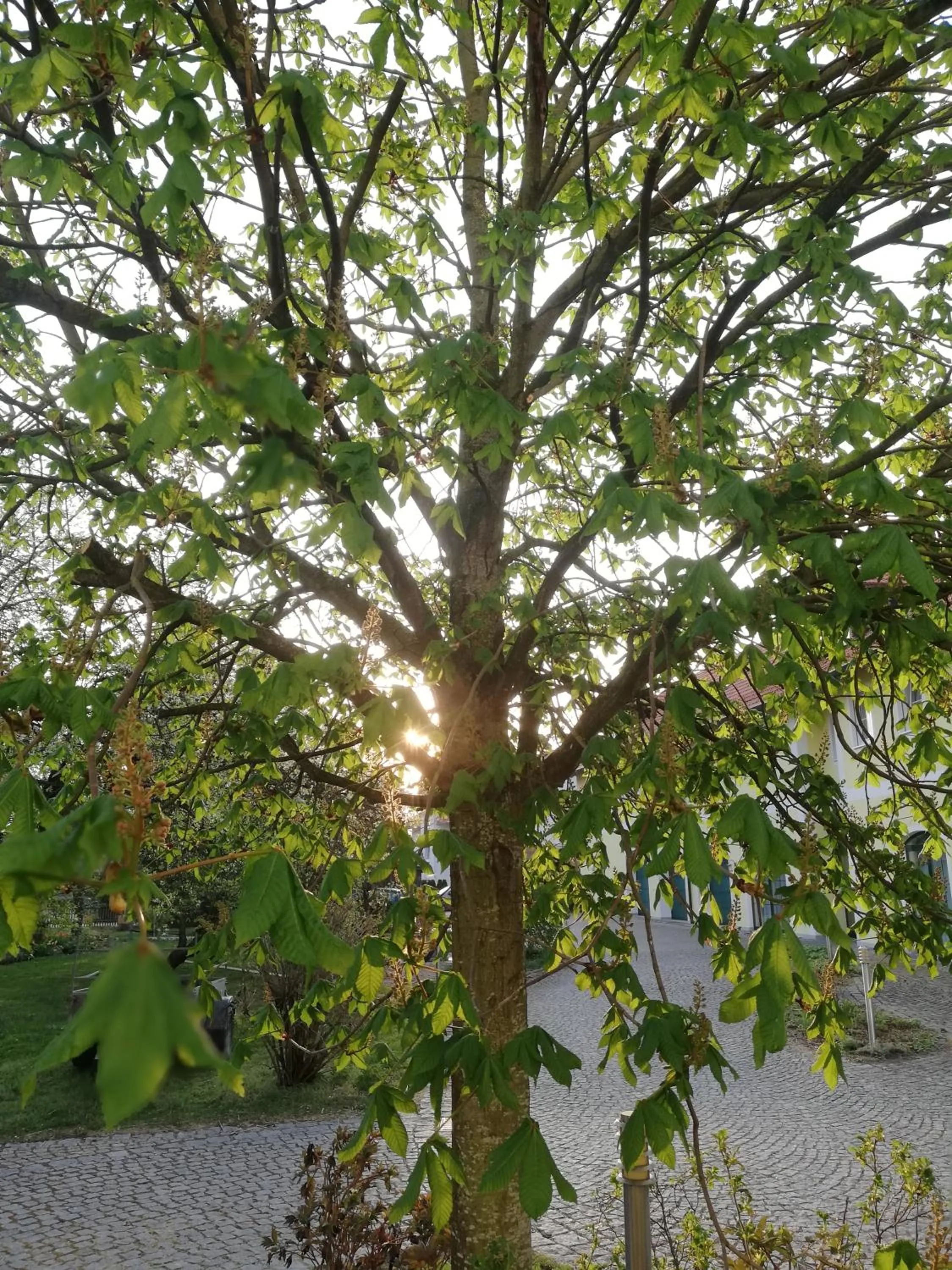 Natural landscape in Hotel Nummerhof