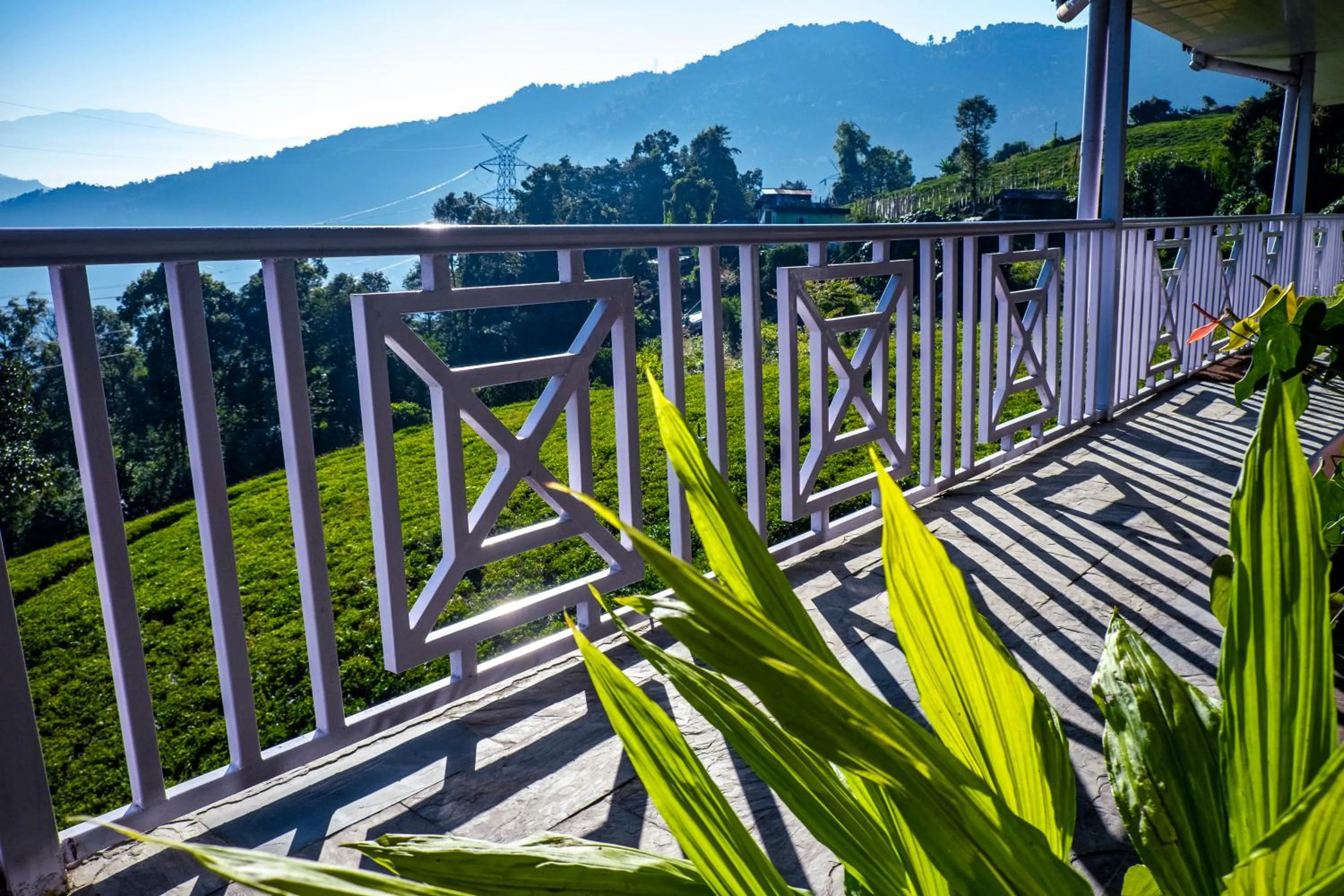 Restaurant/places to eat in The Temi Bungalow South Sikkim