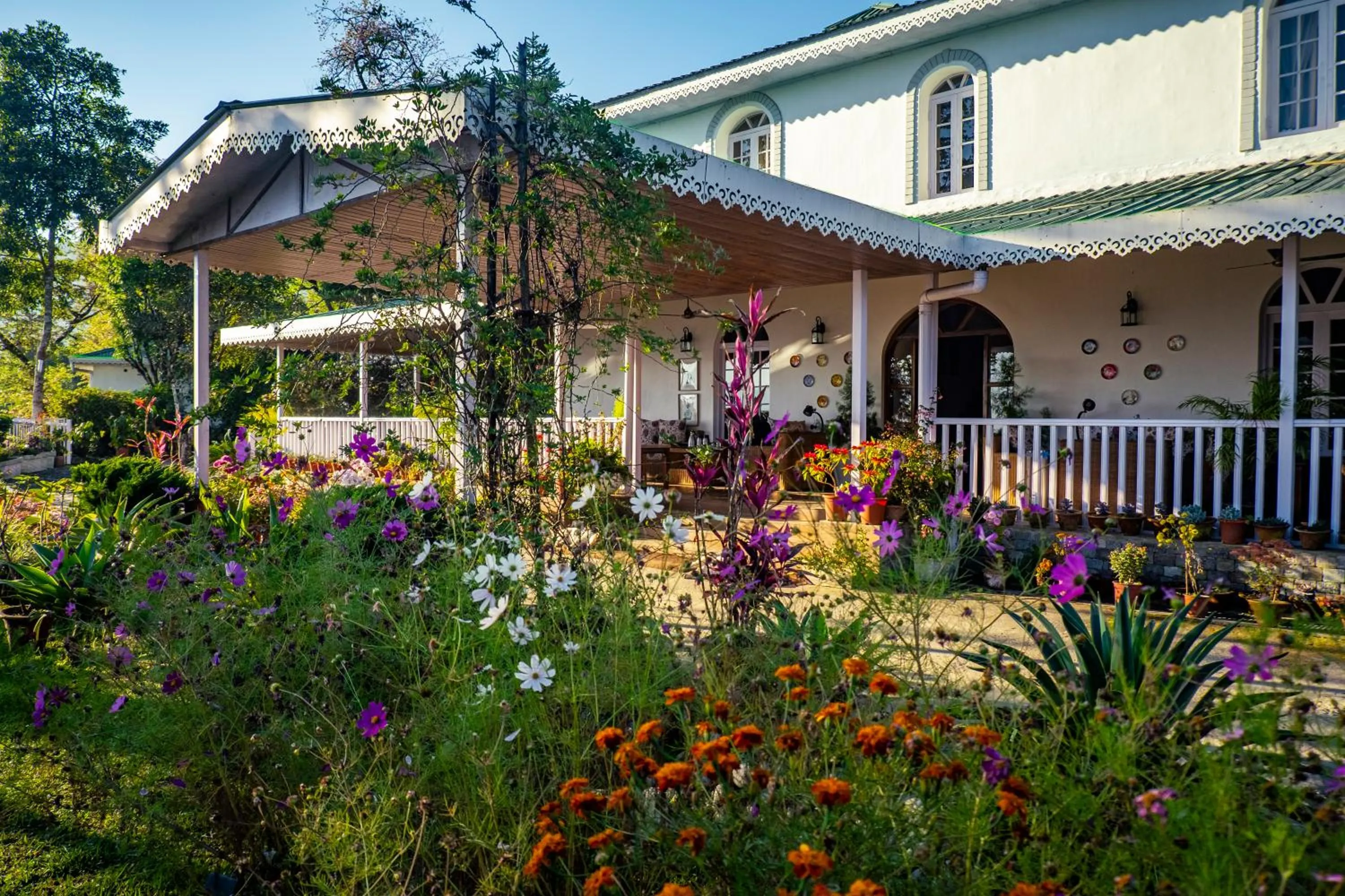 Property building in The Temi Bungalow South Sikkim