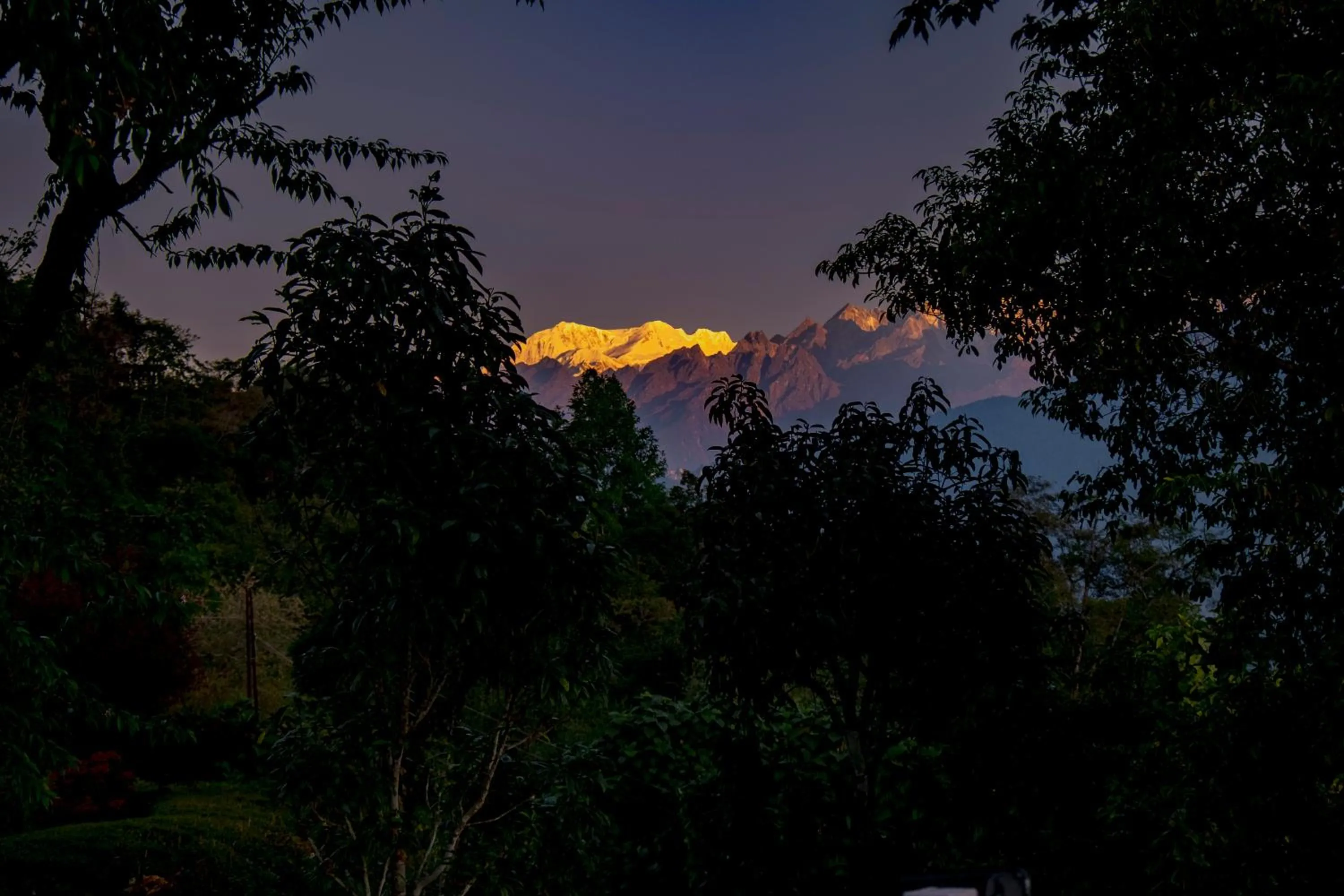 Mountain view in The Temi Bungalow South Sikkim