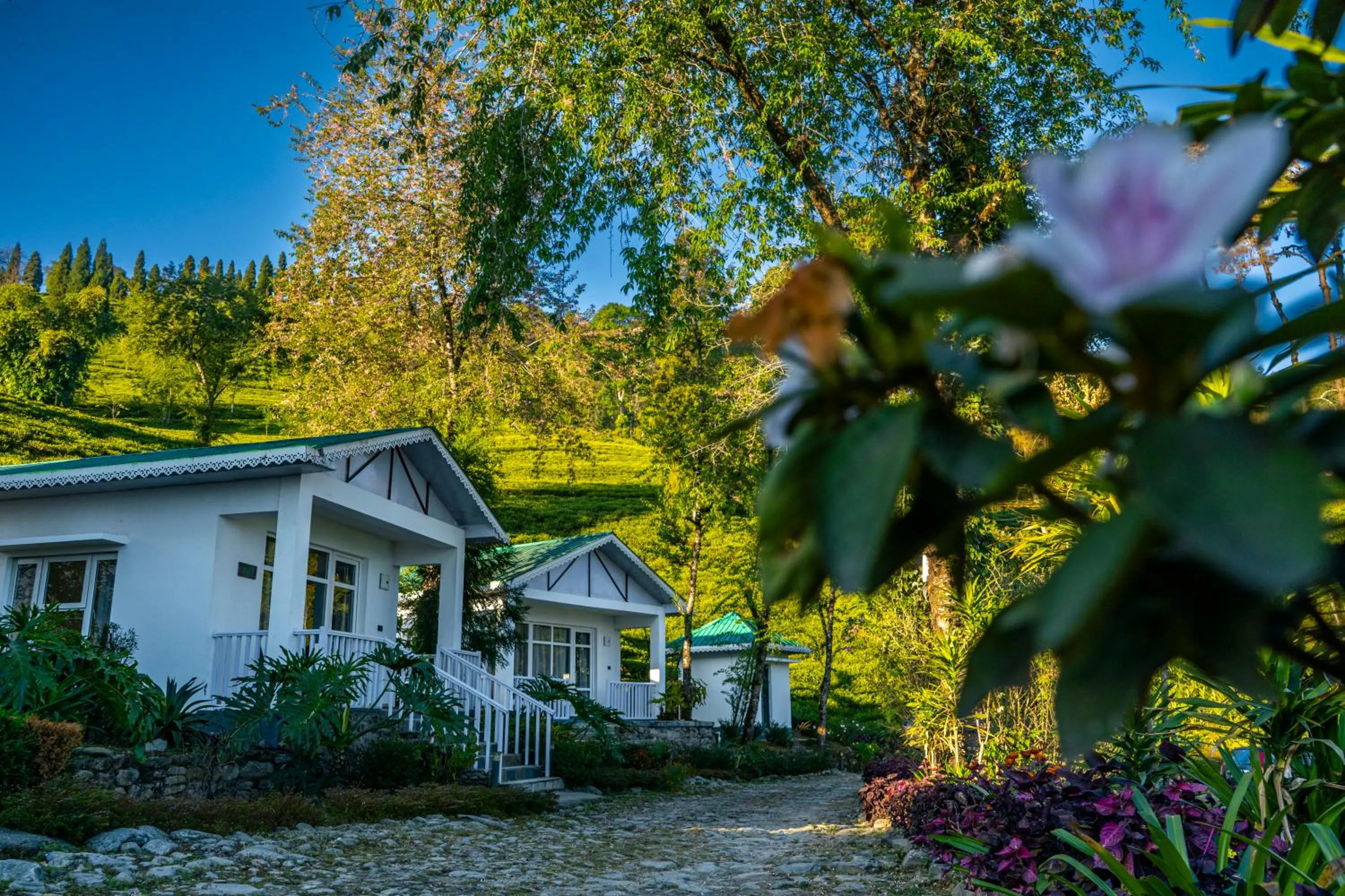 Property building in The Temi Bungalow South Sikkim