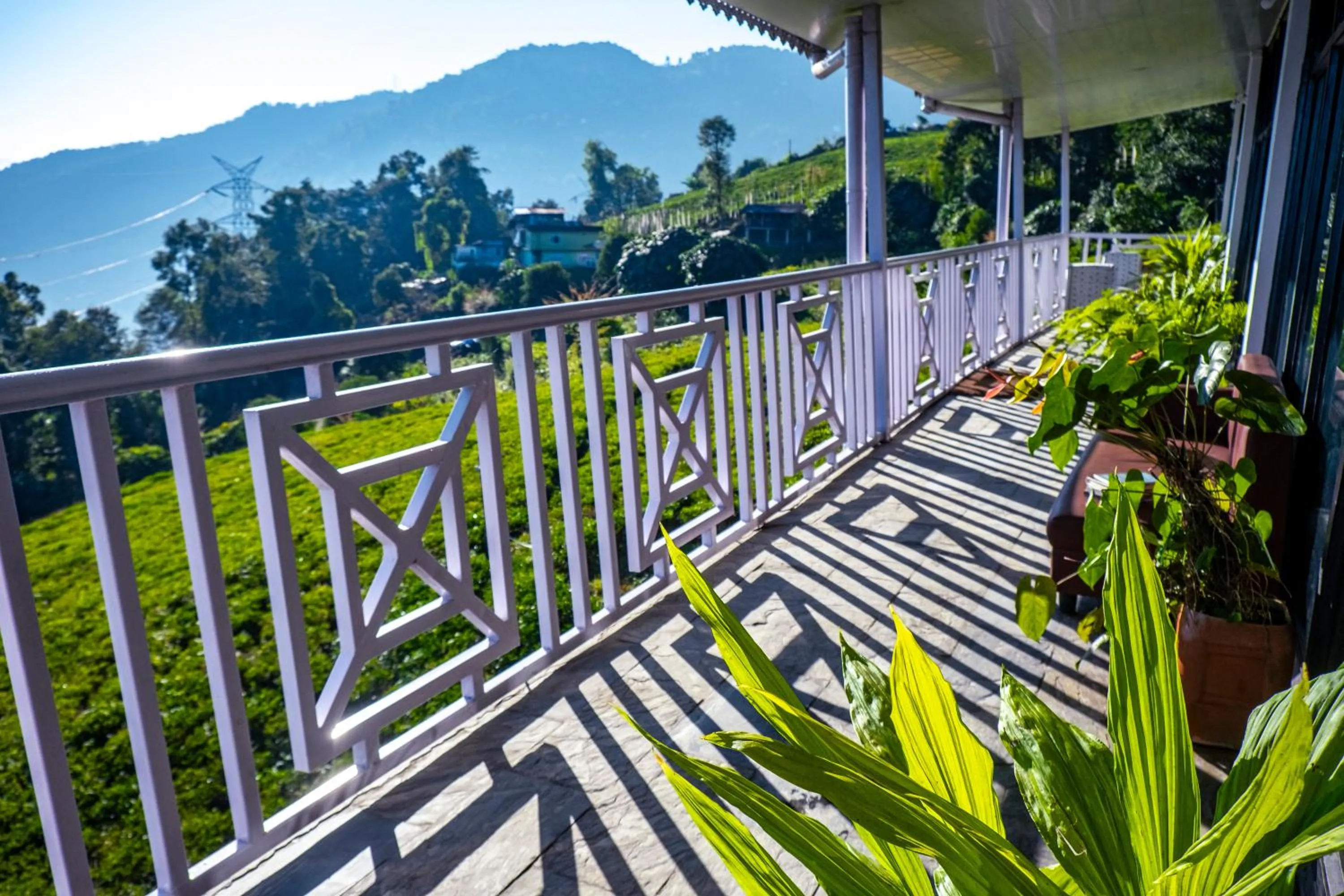 Restaurant/places to eat in The Temi Bungalow South Sikkim