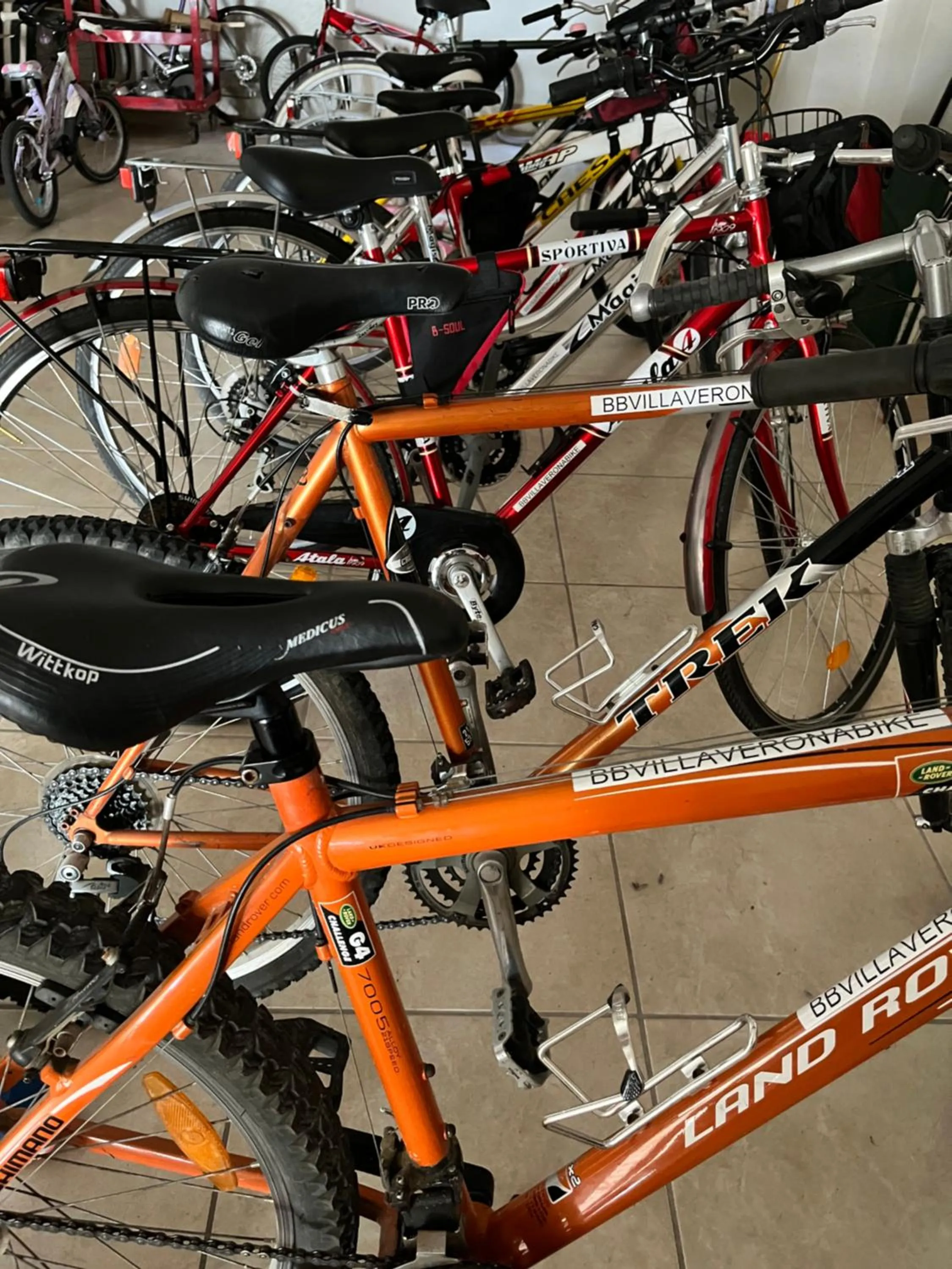 Cycling in B&B Villa Verona Bike