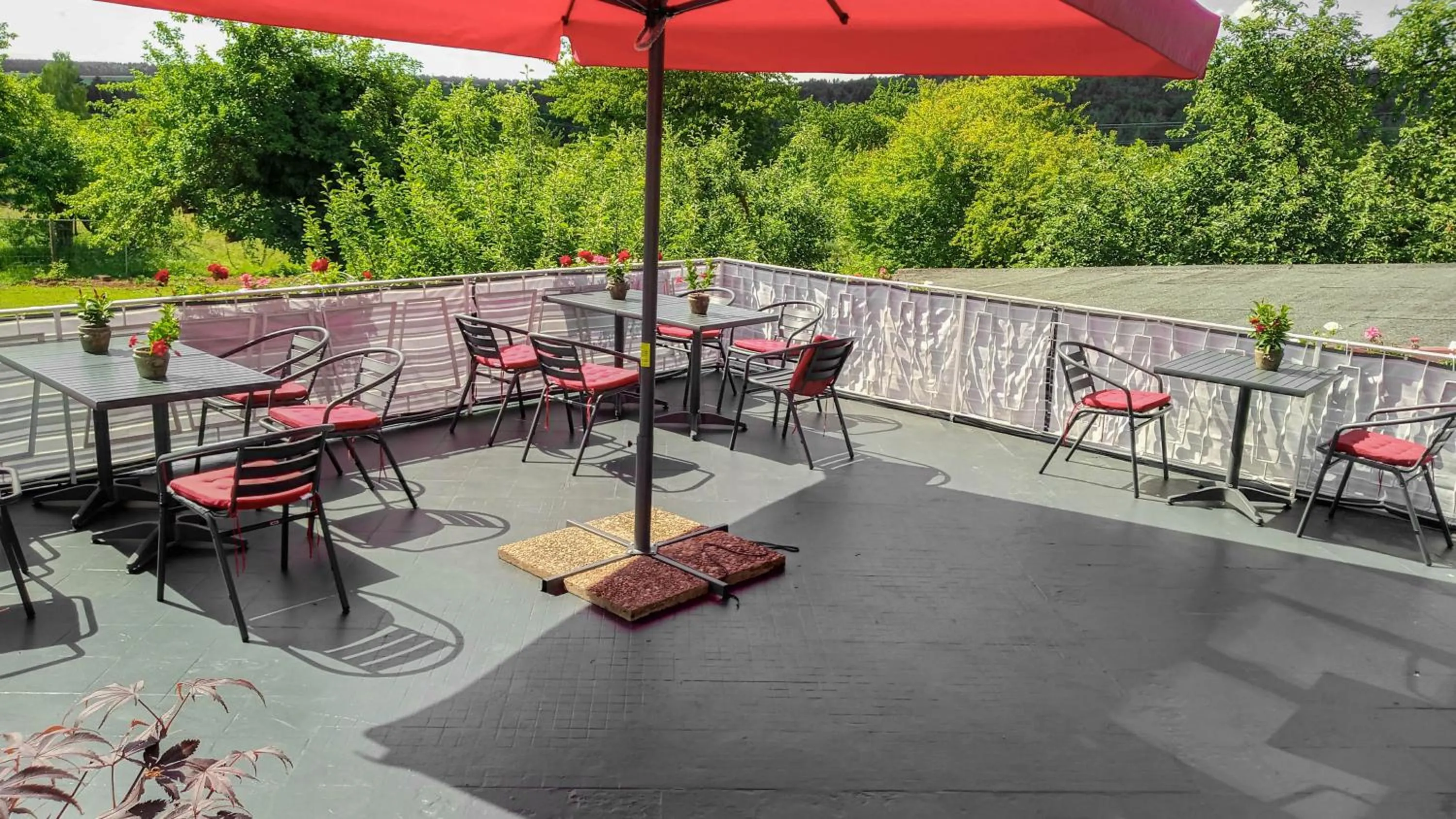 Day in Villa Kopp-Das Gästehaus