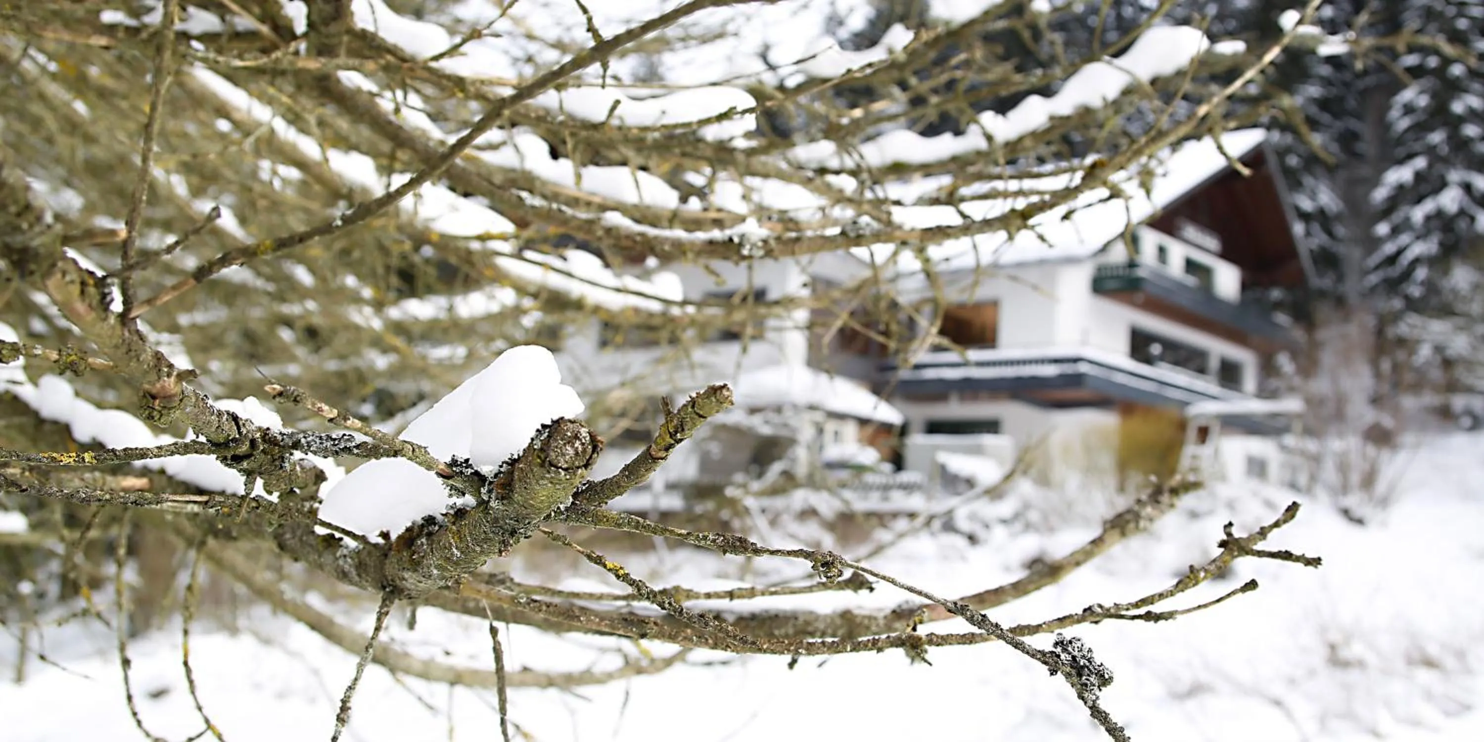 Bird's eye view in Hotel-Pension zum Paradies