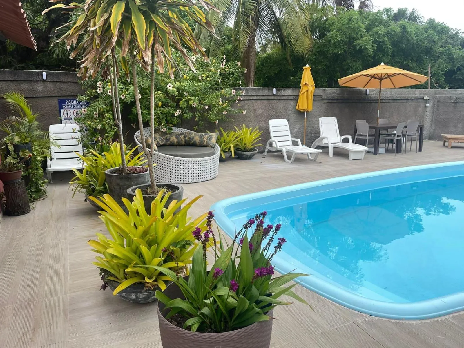 Swimming pool in Chalé Murici Lençóis