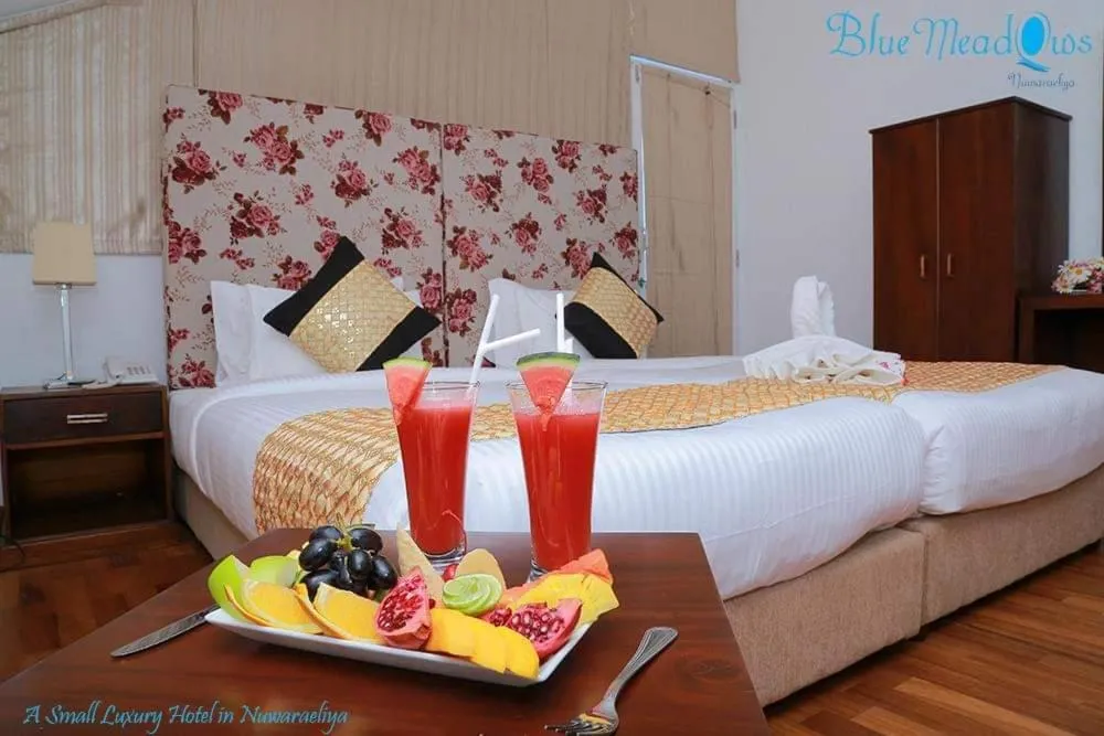 Blue Meadows NuwaraEliya