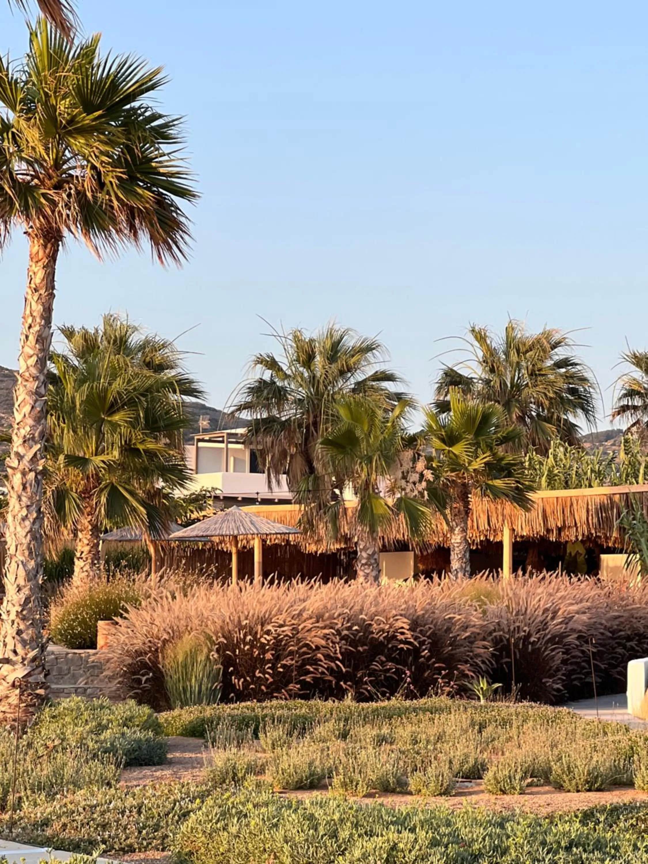 Garden view in Seesoo Paros Beachfront Resort