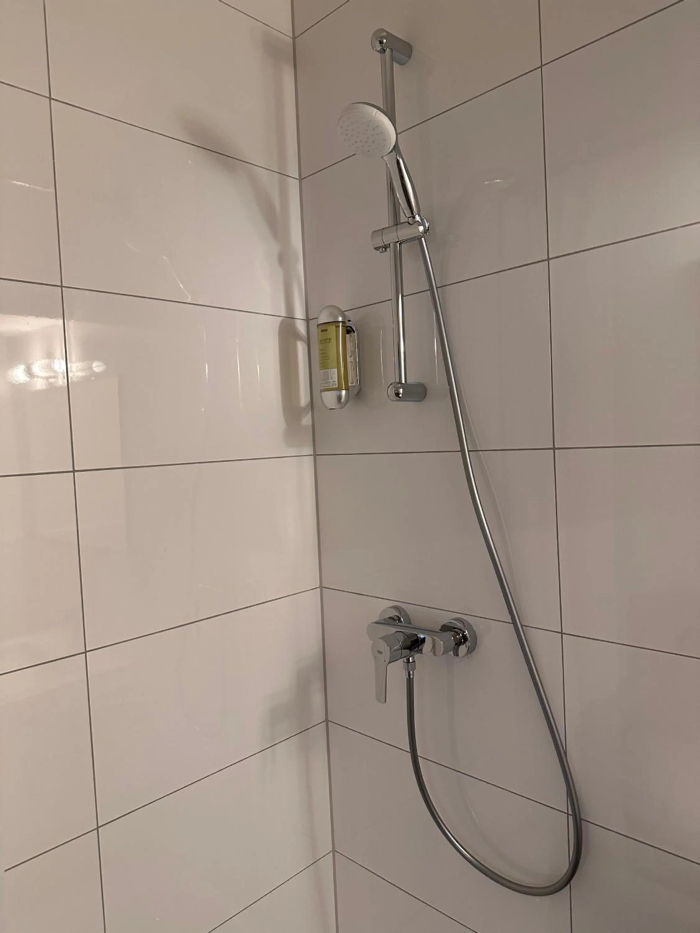 Shower in Altstadthotel Hayk am Rhein