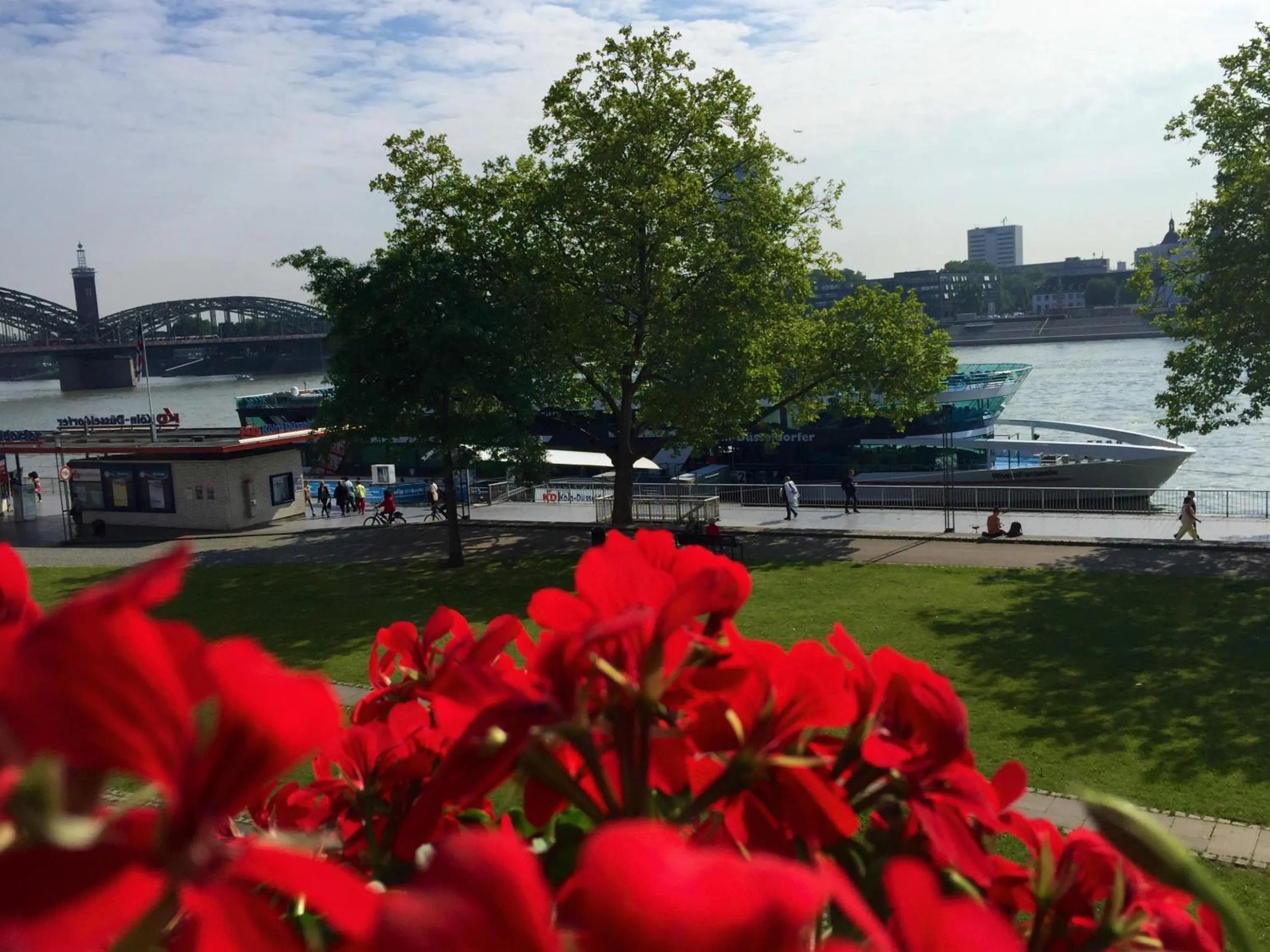 Other in Altstadthotel Hayk am Rhein