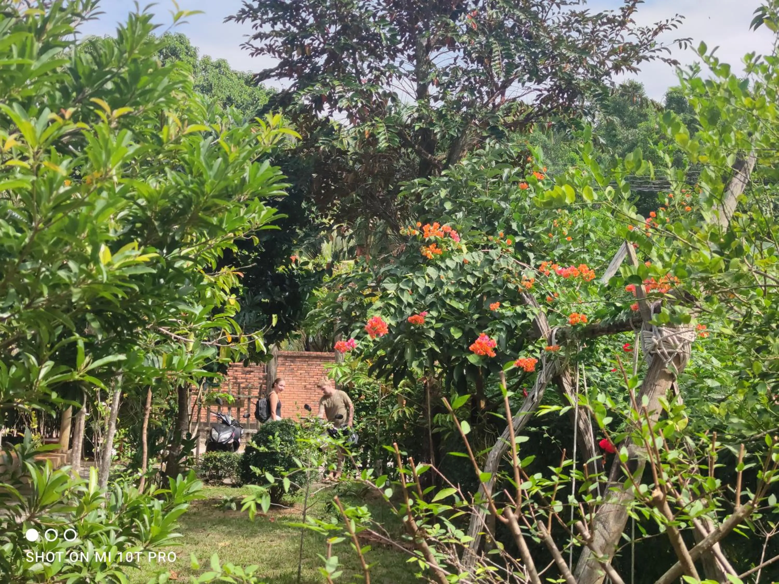 Bebe Homestay Phu Quoc
