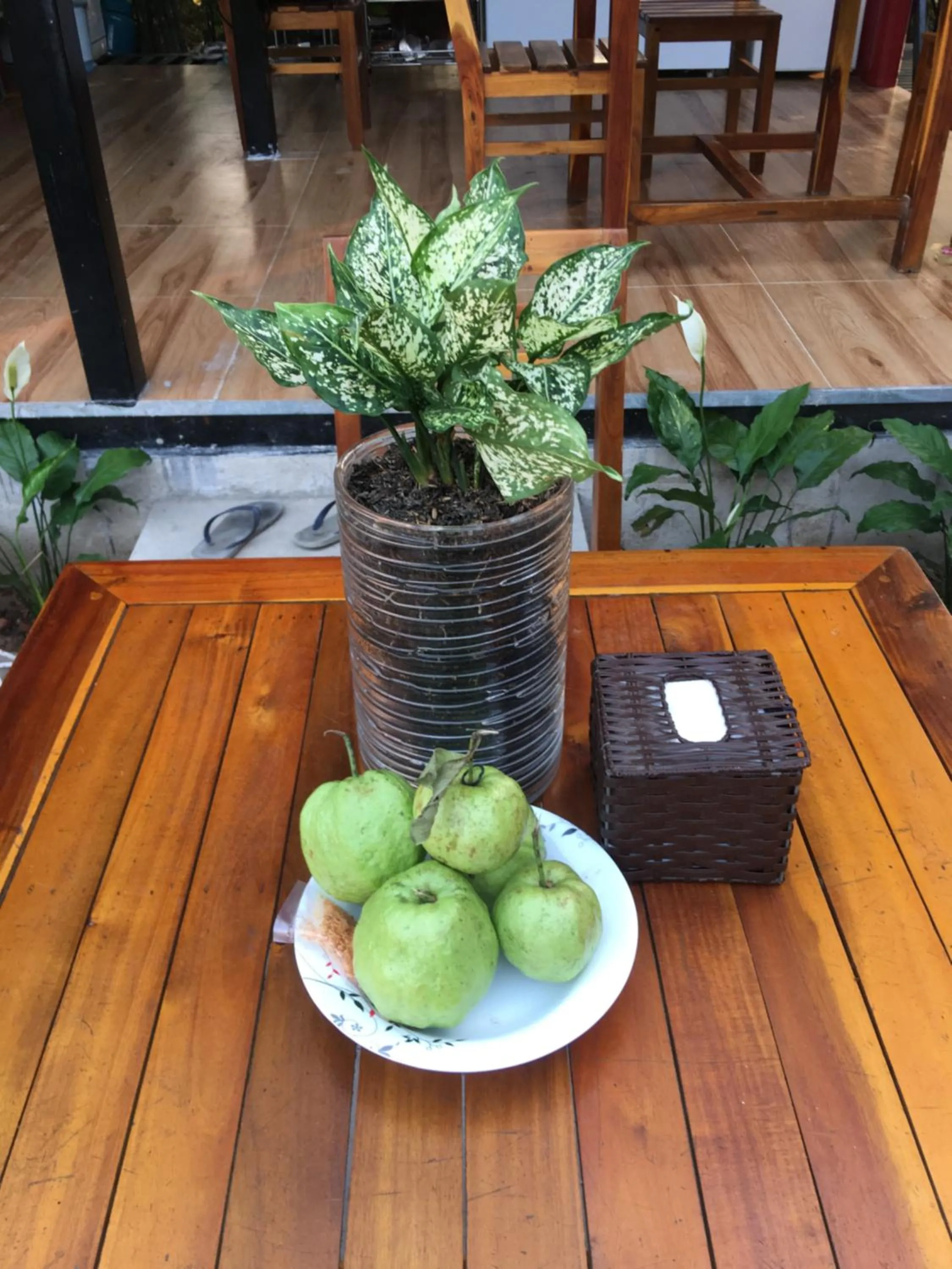 Bebe Homestay Phu Quoc