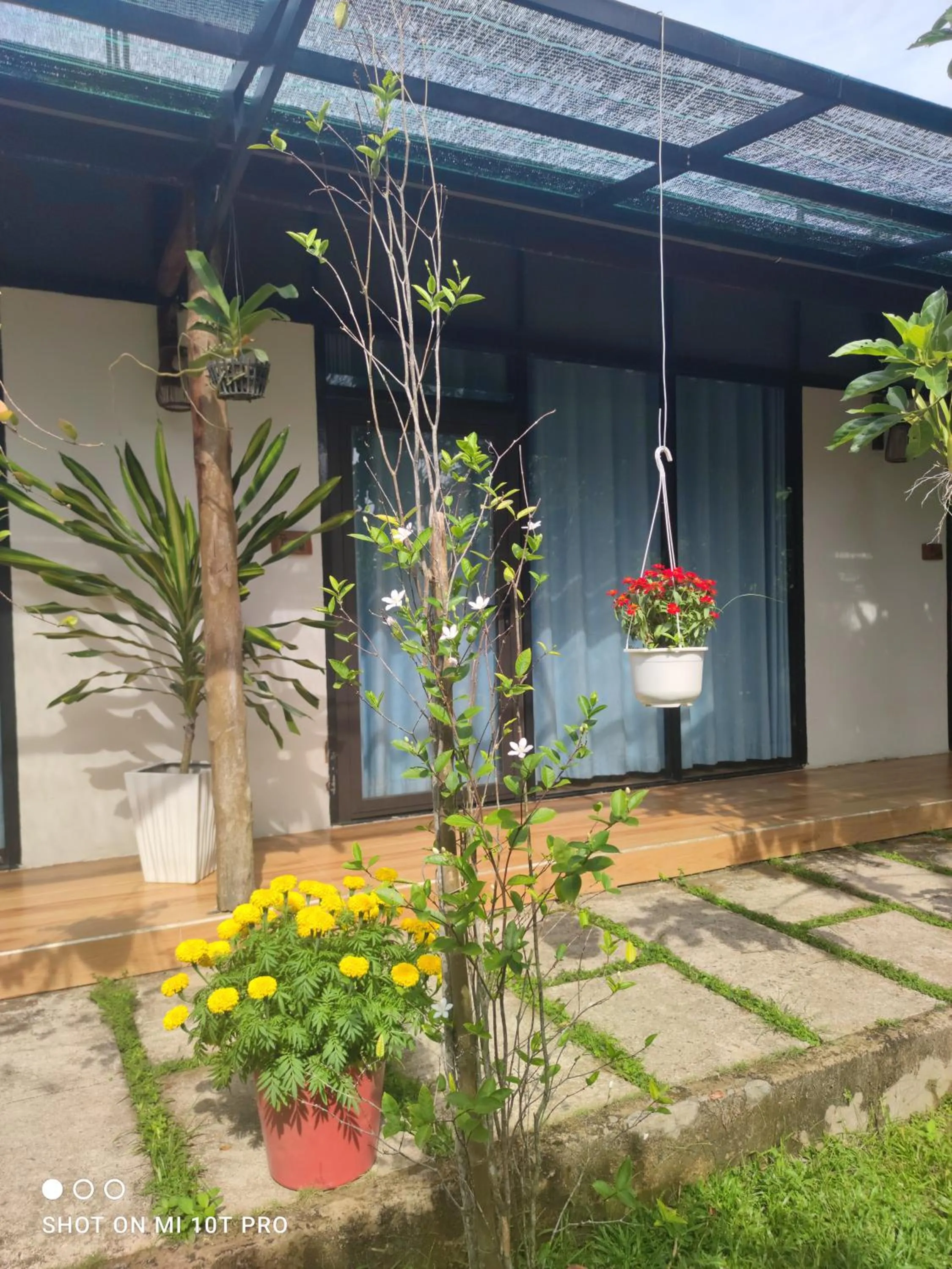 Bebe Homestay Phu Quoc
