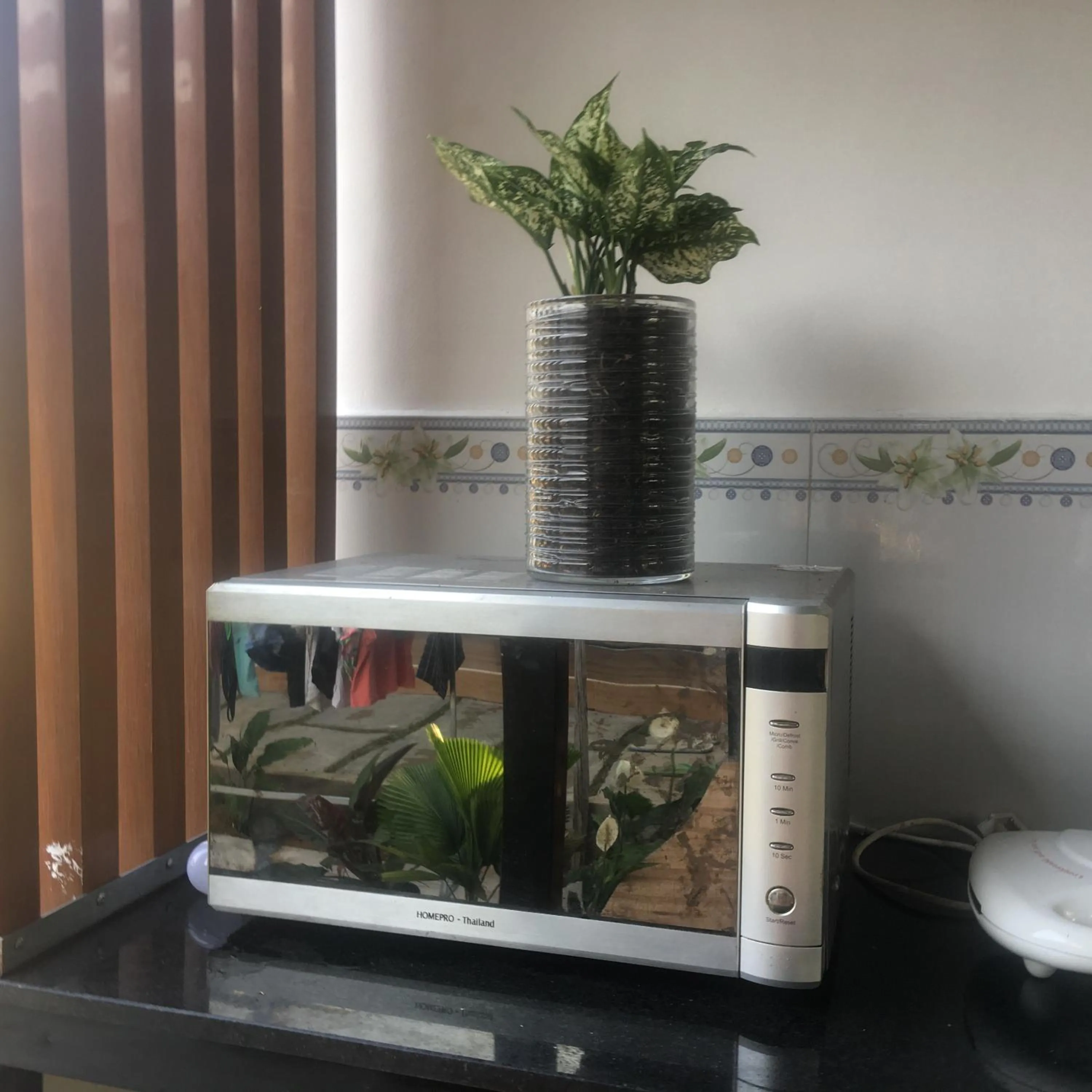 Bebe Homestay Phu Quoc