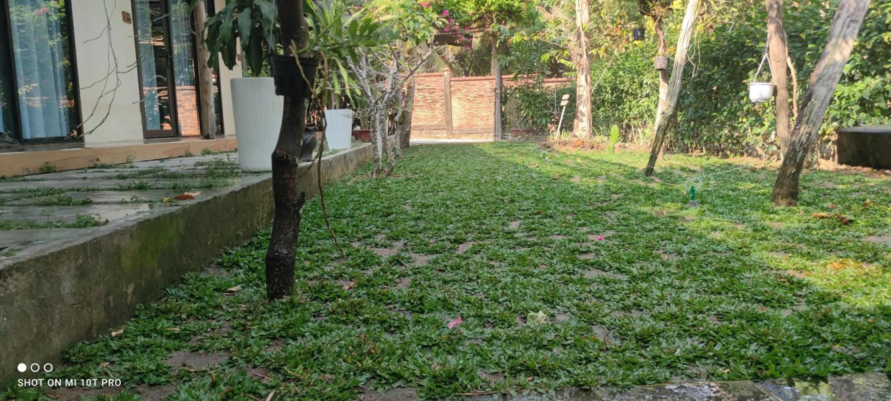 Bebe Homestay Phu Quoc