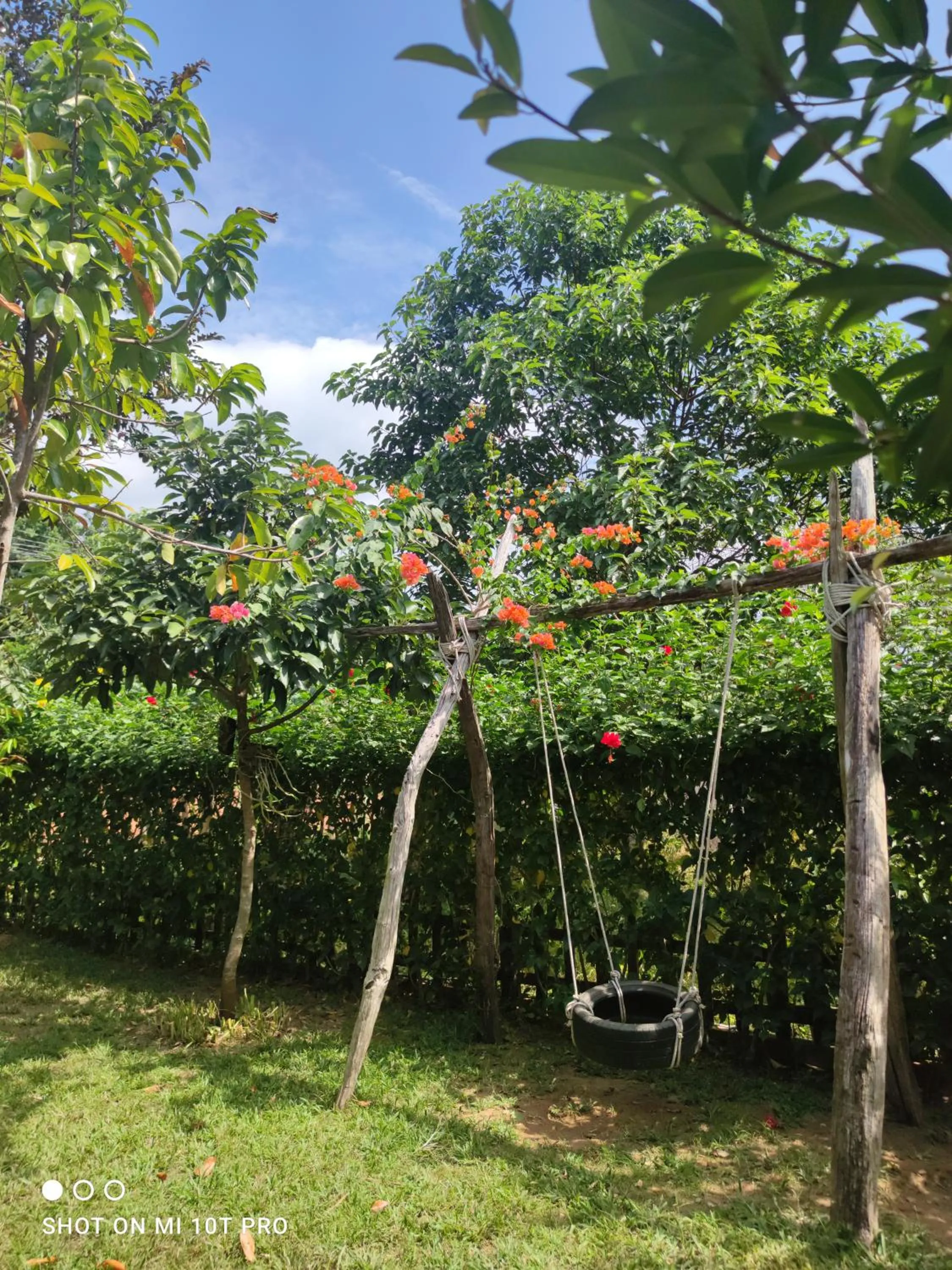 Bebe Homestay Phu Quoc