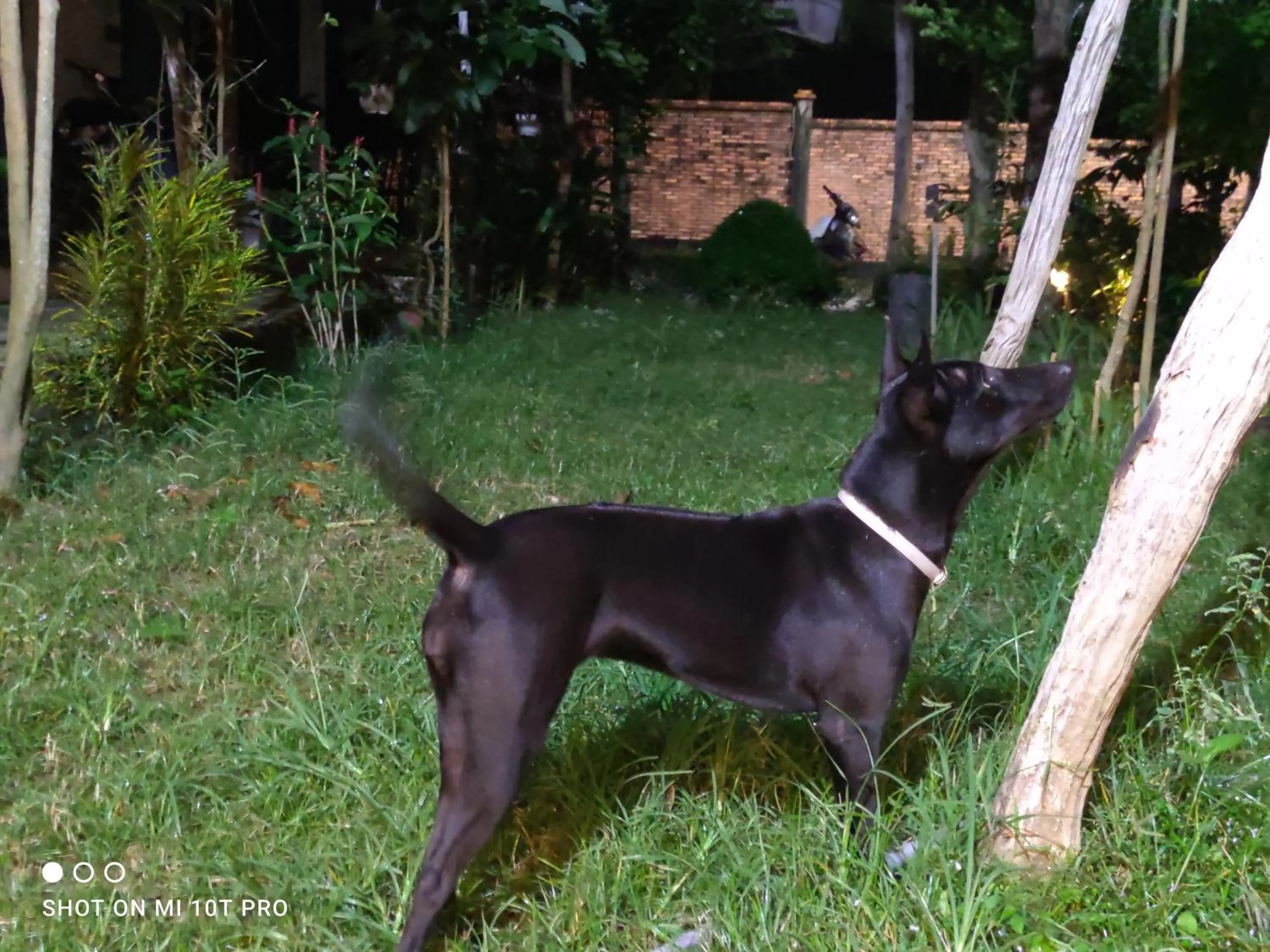 Bebe Homestay Phu Quoc