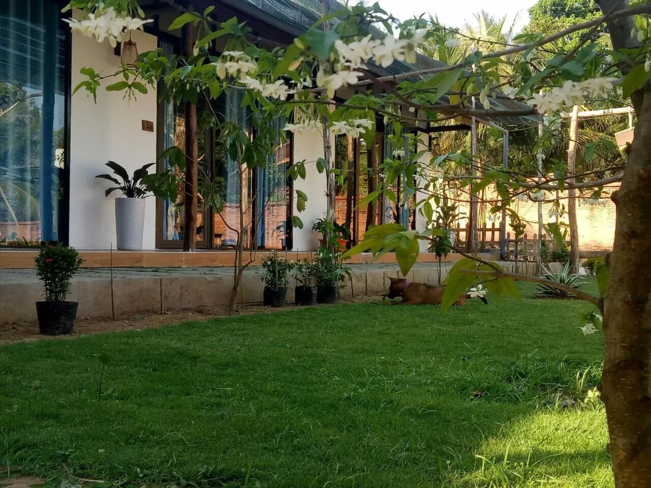 Bebe Homestay Phu Quoc
