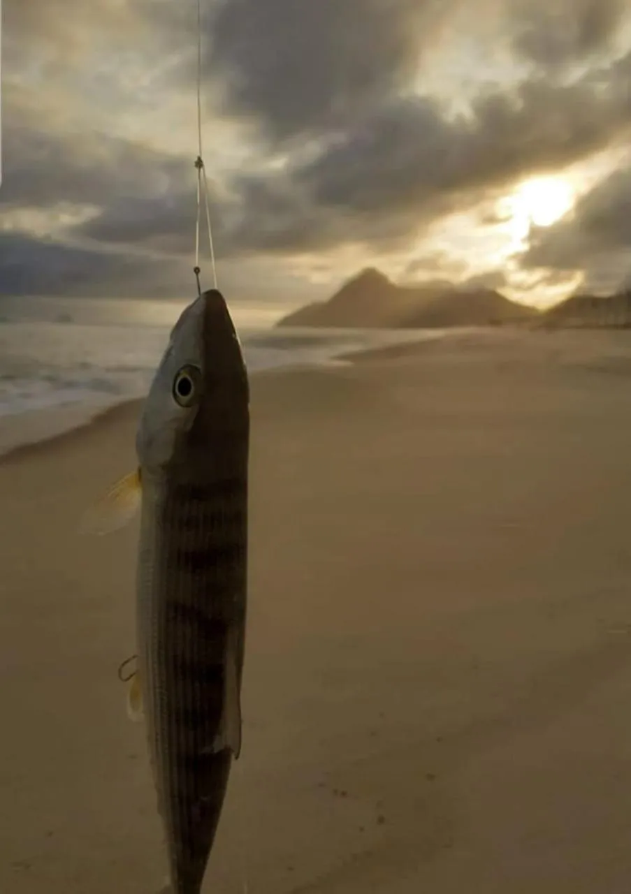Pousada da Praia