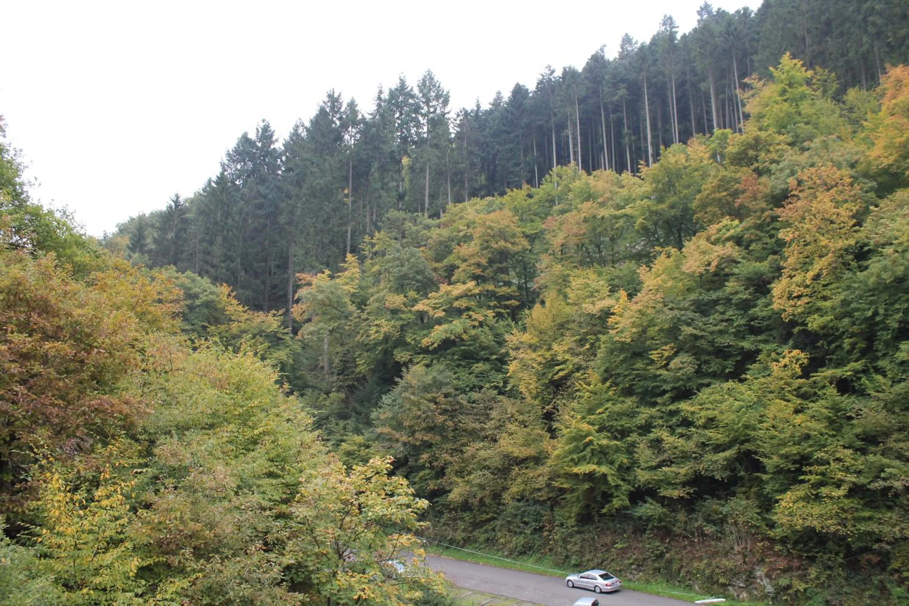 Facade/entrance in Moselromantik Hotel Weissmühle