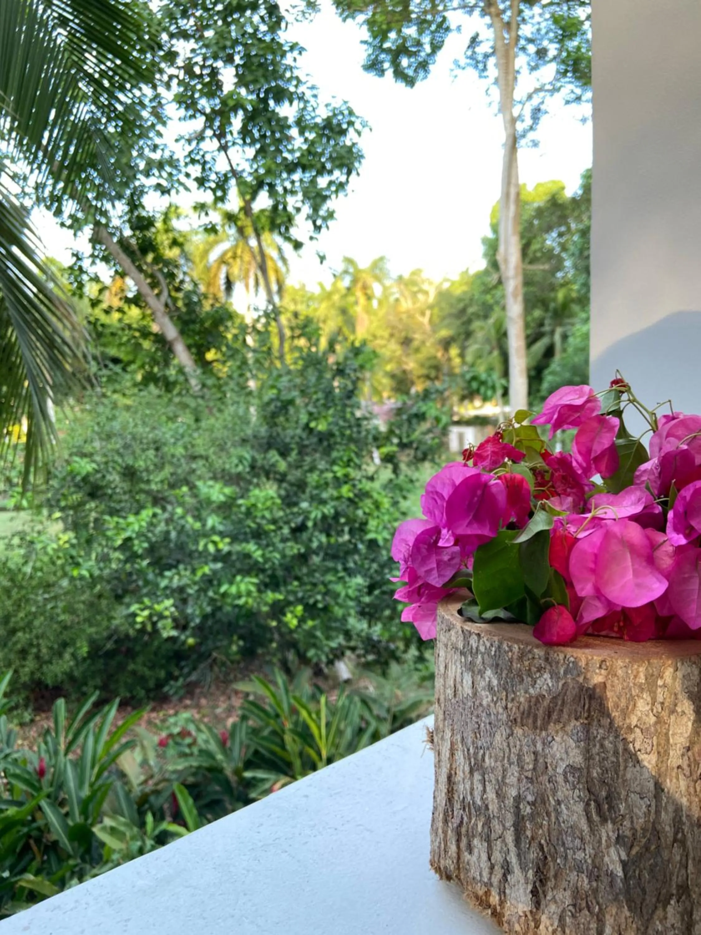 Natural landscape in Hotel Restaurante Selva Negra