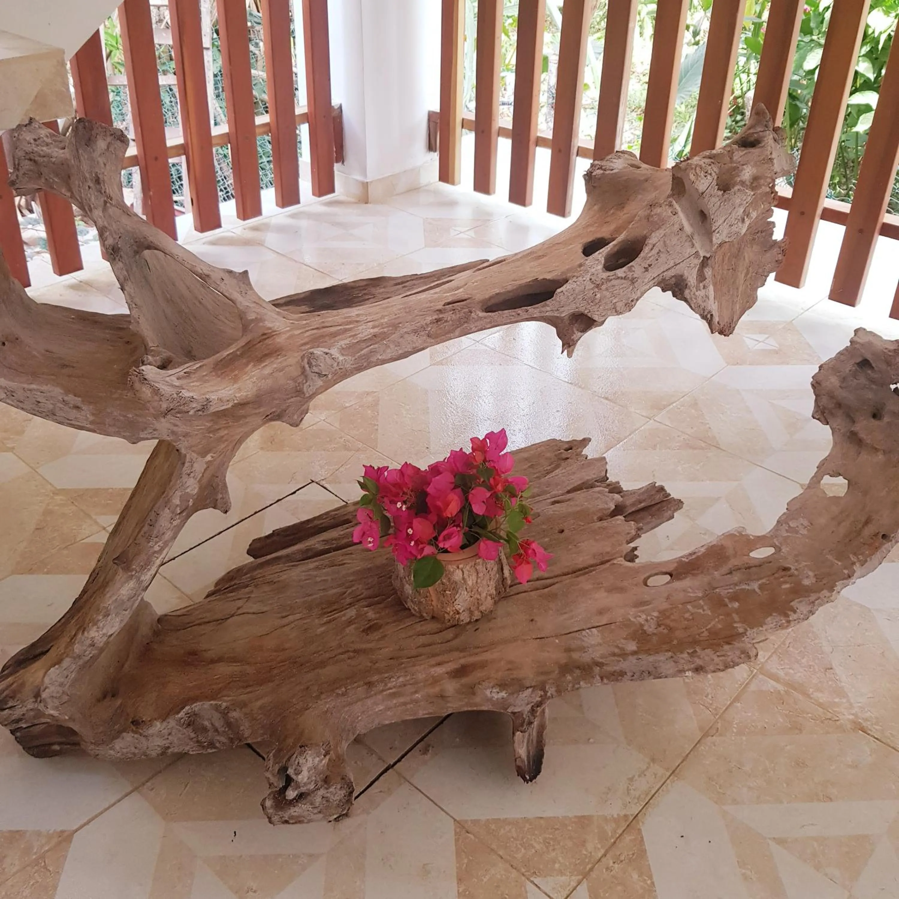 Balcony/Terrace in Hotel Restaurante Selva Negra