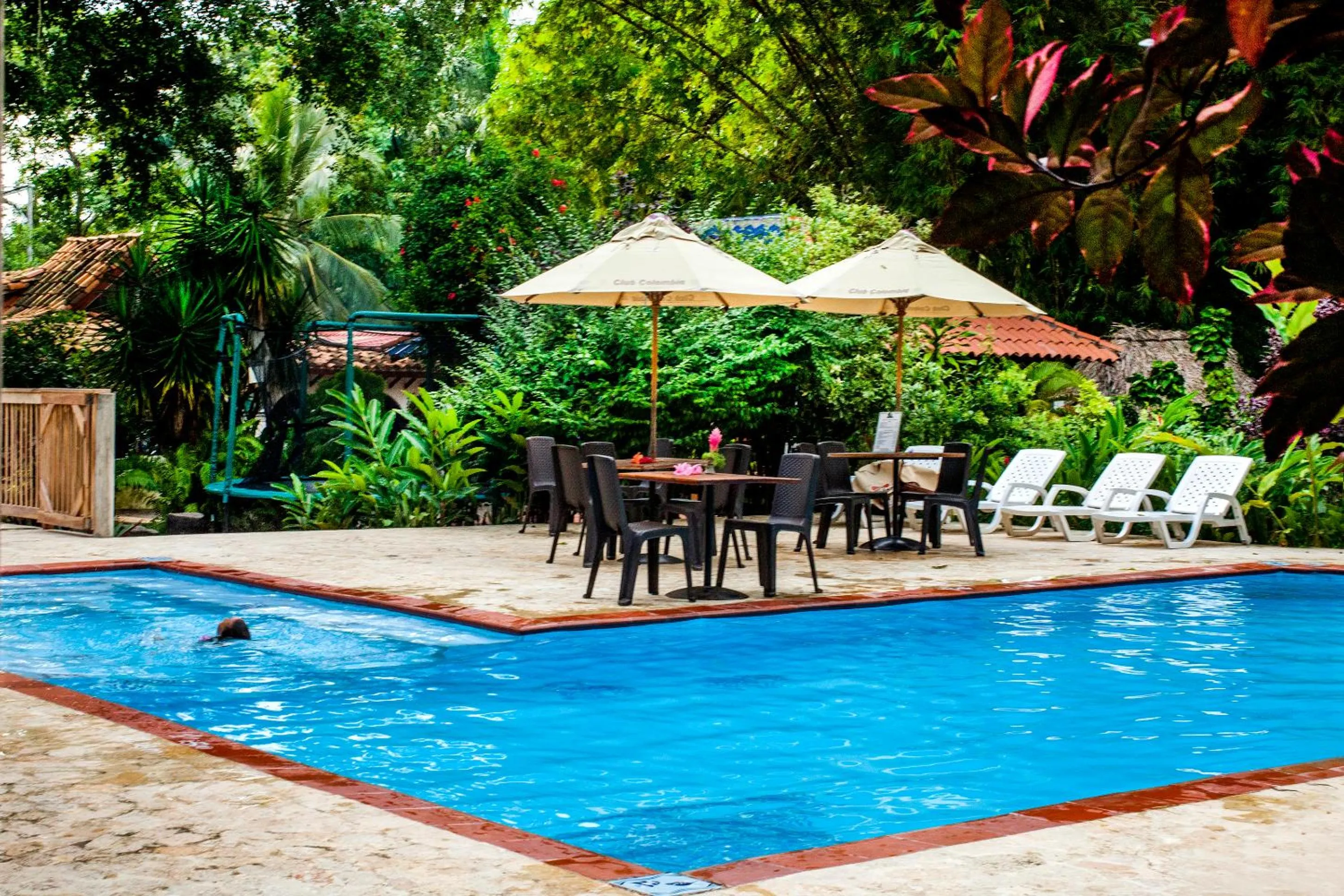 Hotel Restaurante Selva Negra