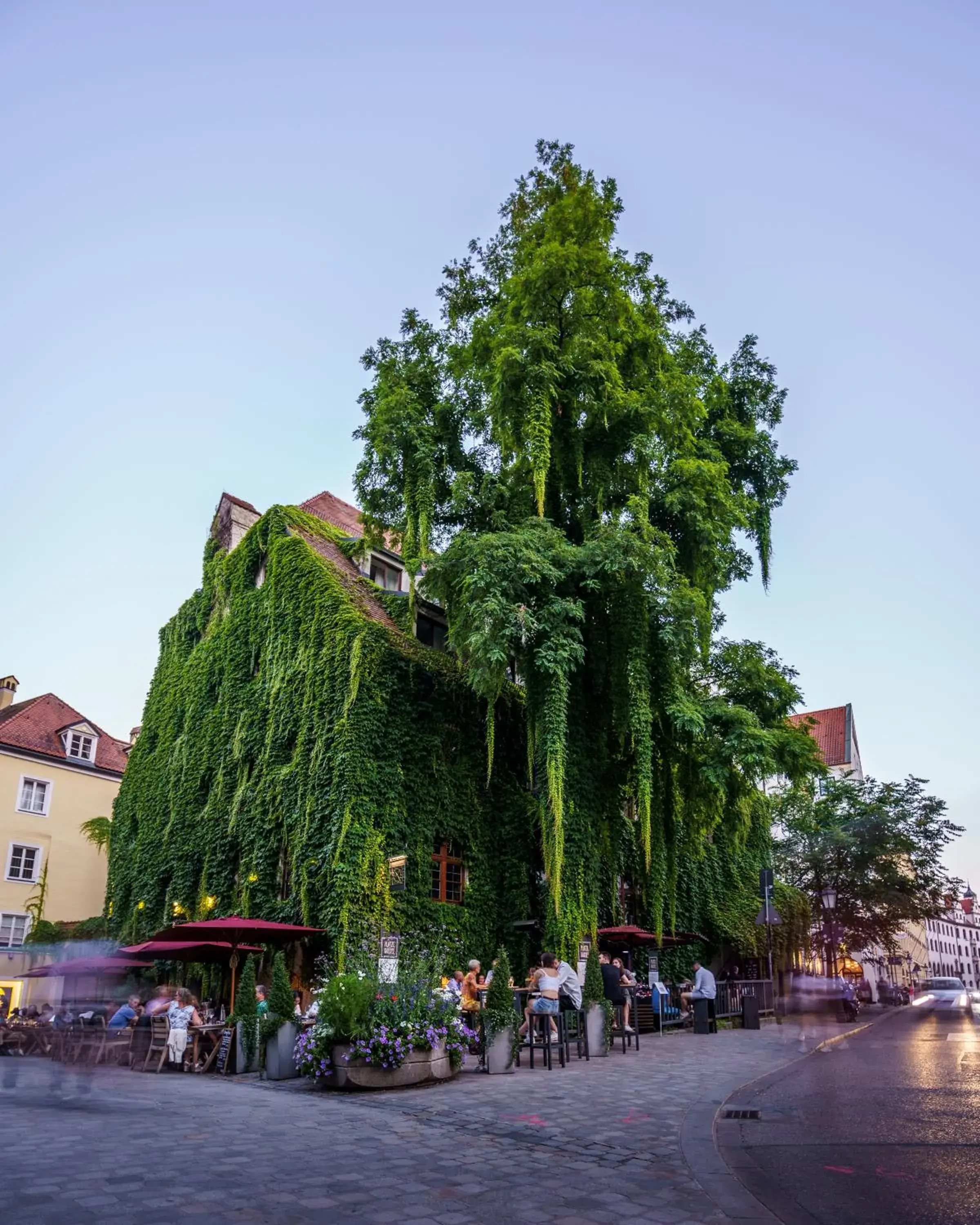 Property building in Platzl Hotel - Superior Property building in Platzl Hotel - Superior