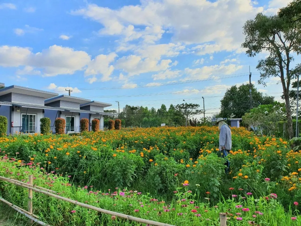 Maharak Resort