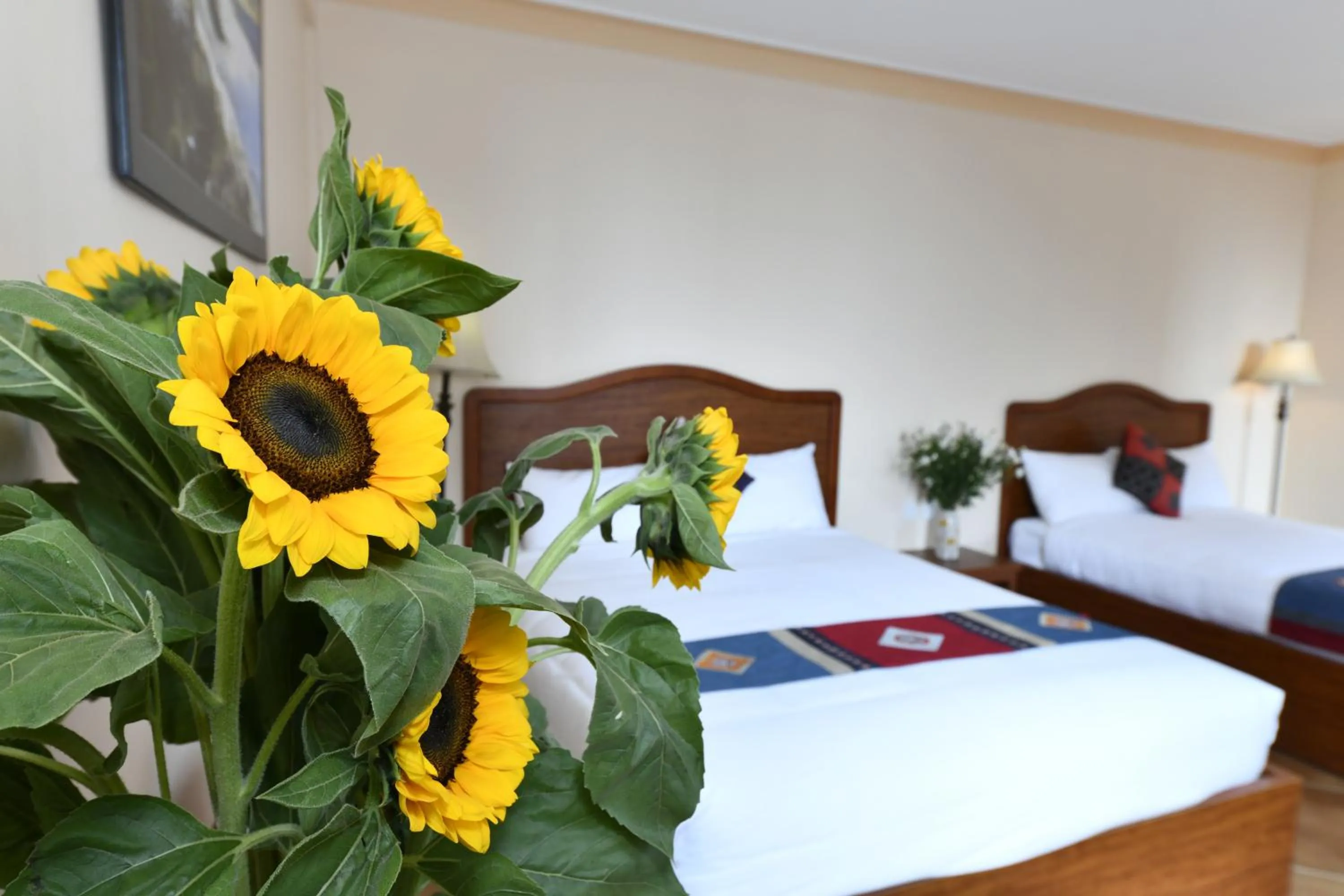 Bedroom, Bed in Sapa Symphony Hotel