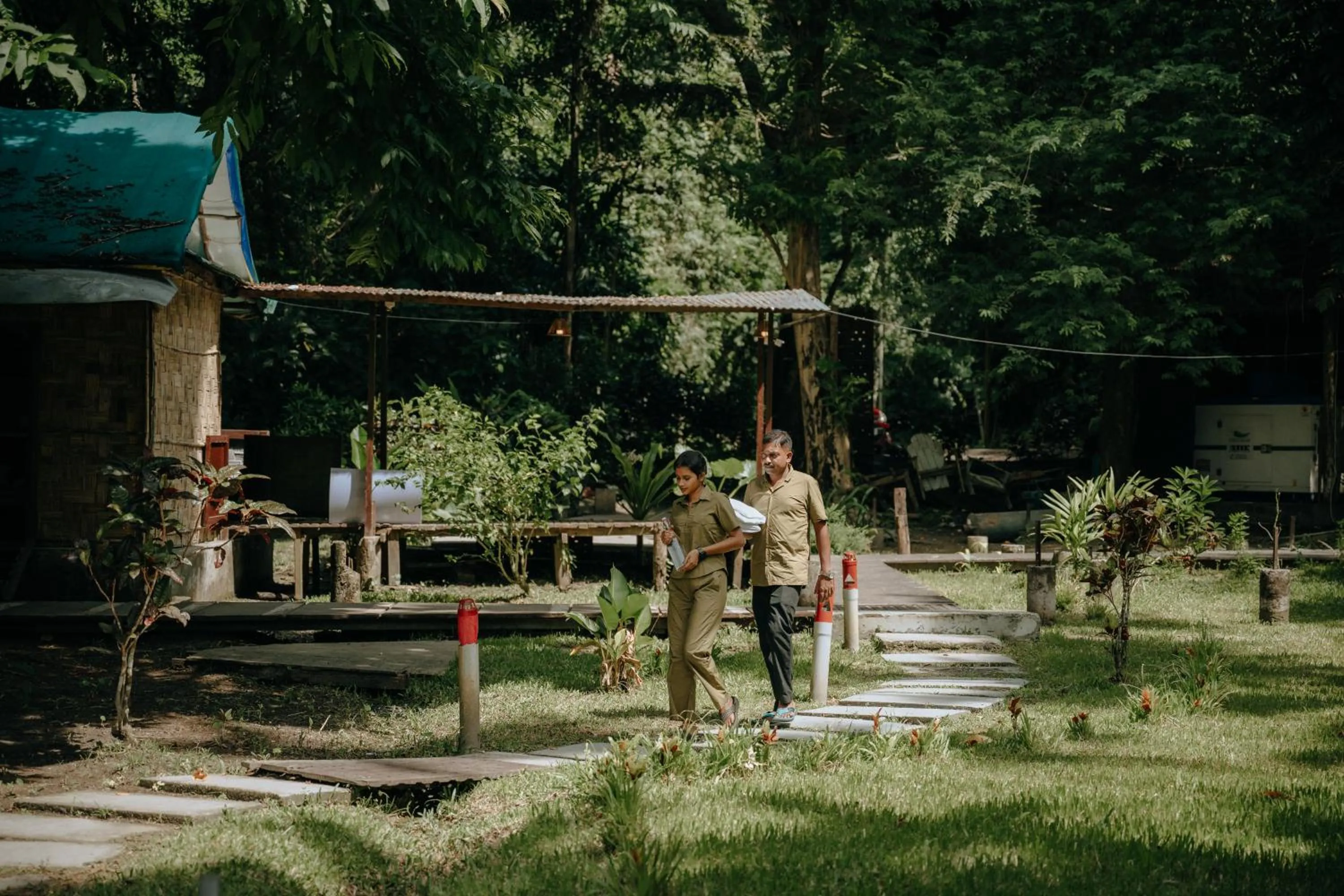 The Forest Elephant - Formerly known as the Flying Elephant