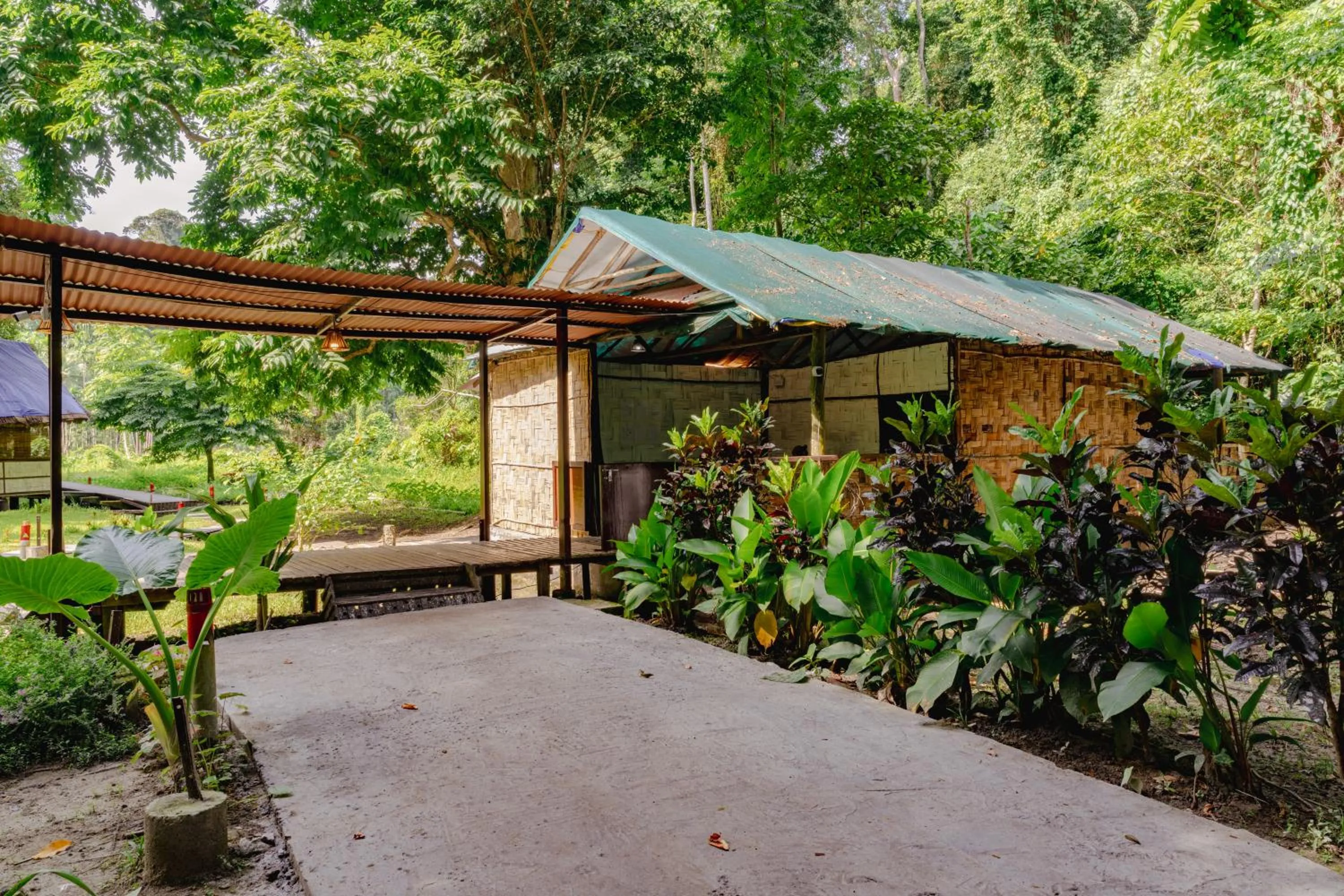 Lobby or reception in The Forest Elephant - Formerly known as the Flying Elephant