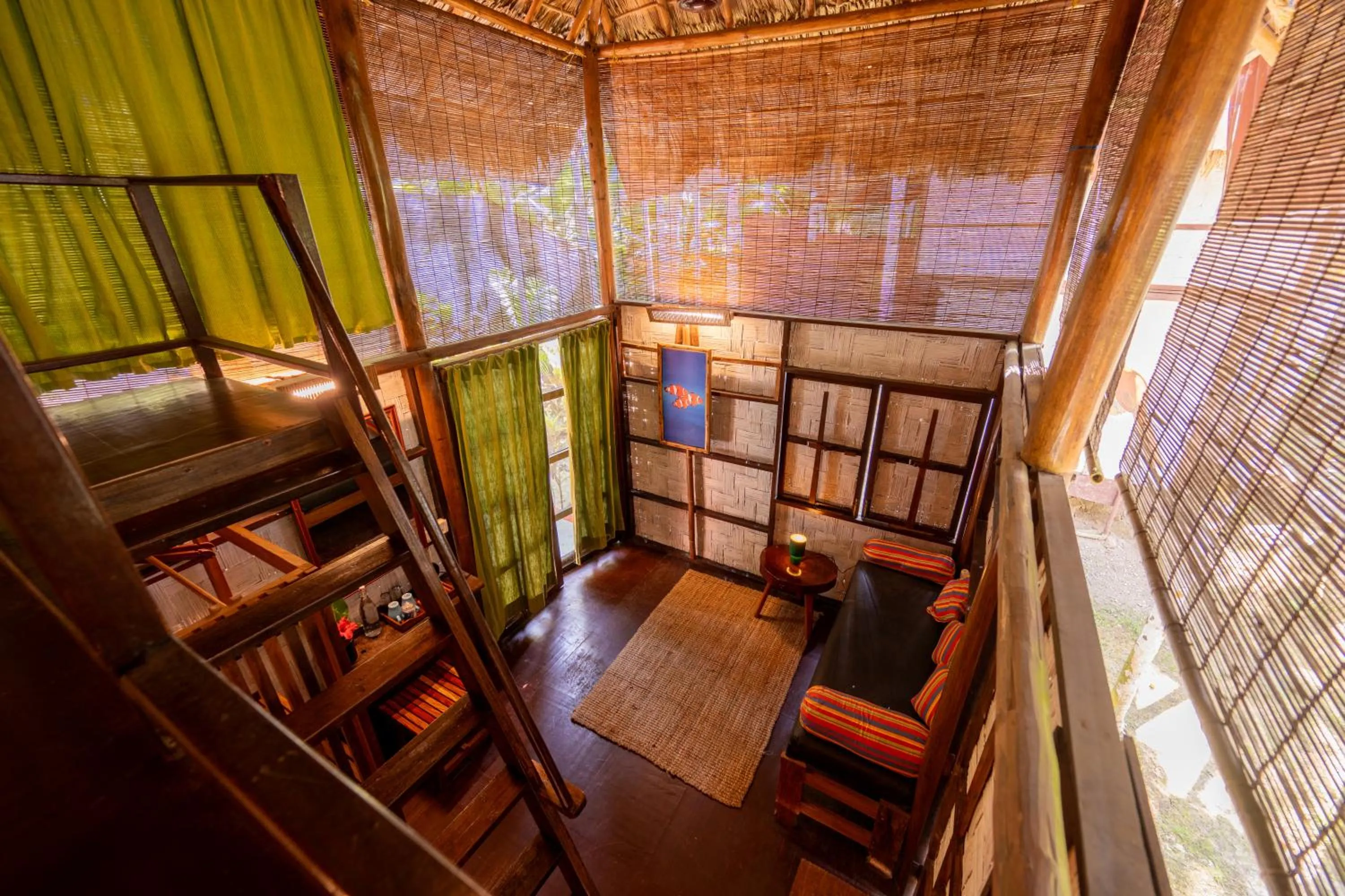 The Forest Elephant - Formerly known as the Flying Elephant