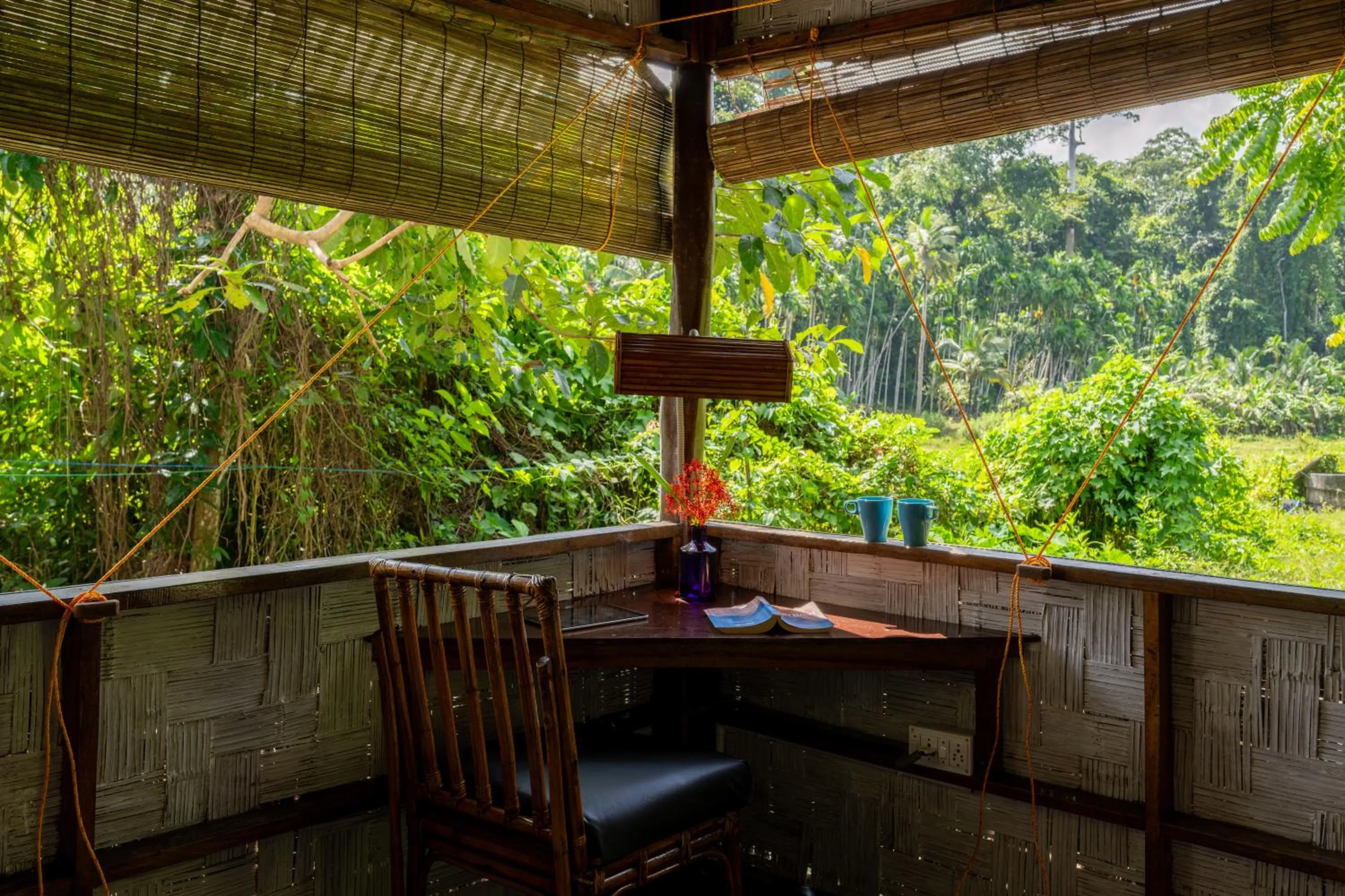 The Forest Elephant - Formerly known as the Flying Elephant