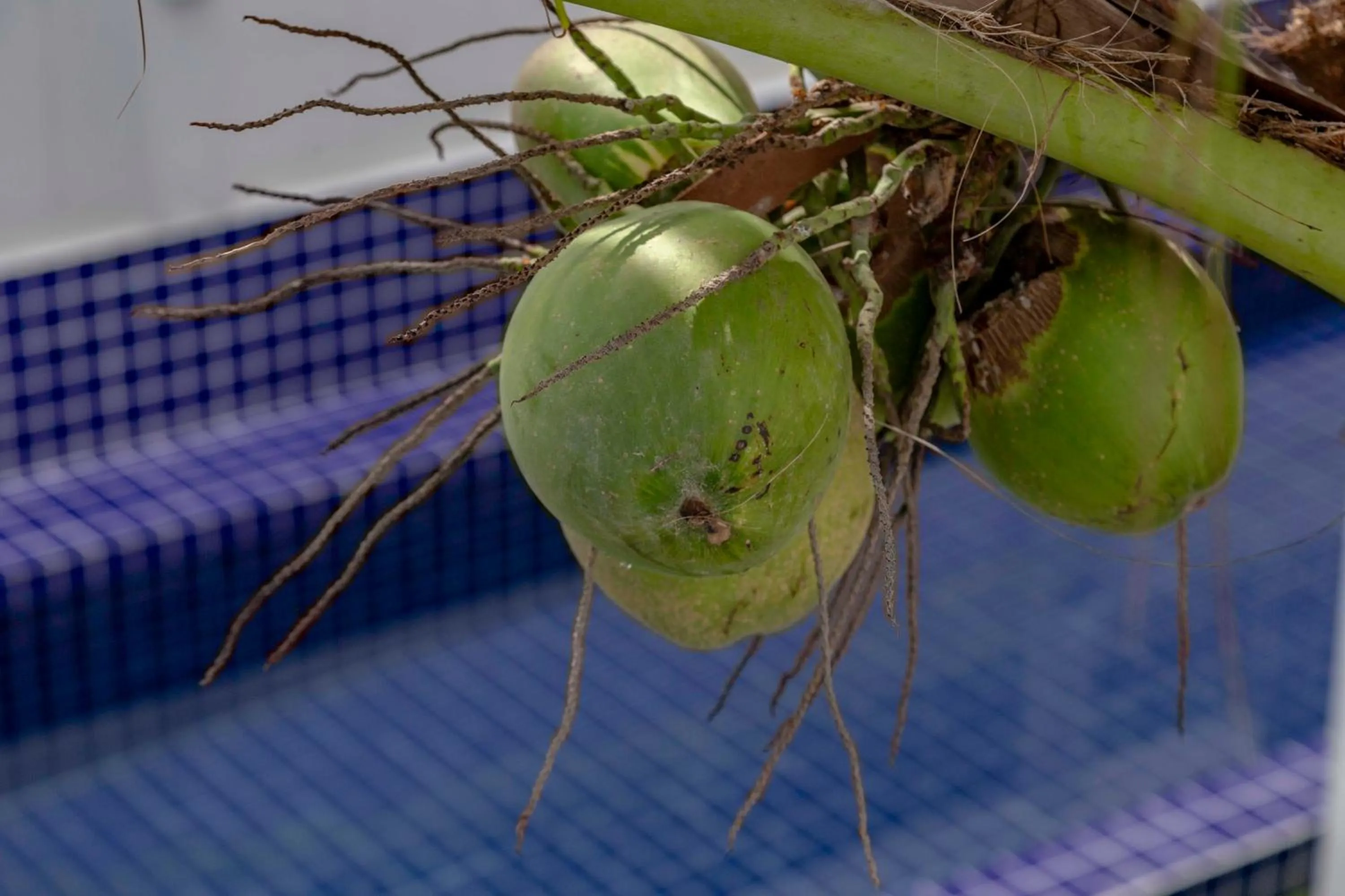 Property building in Pousada Maresia Unique Beira Mar