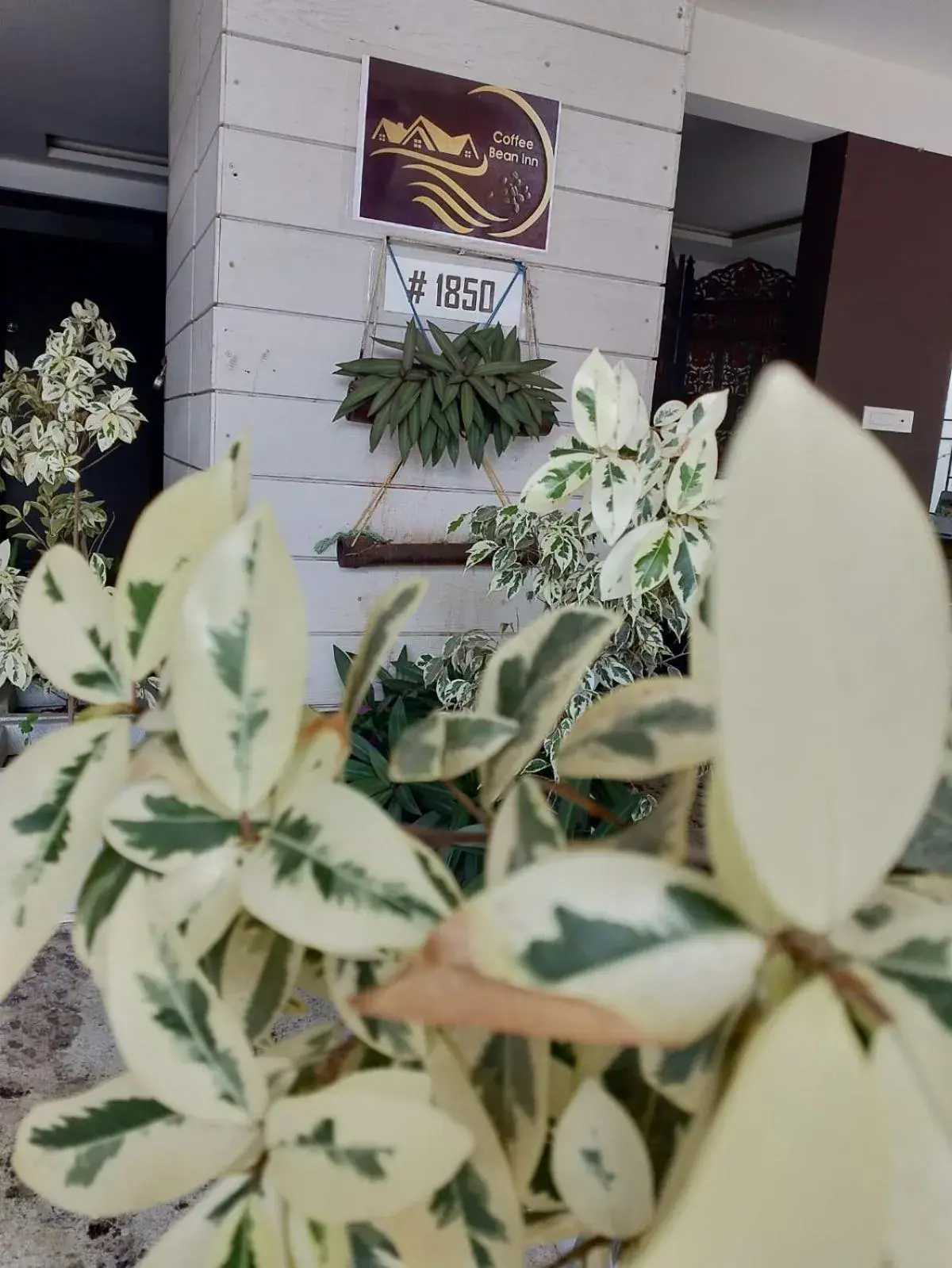 Facade/entrance in Hotel Coffee Bean Facade/entrance in Hotel Coffee Bean