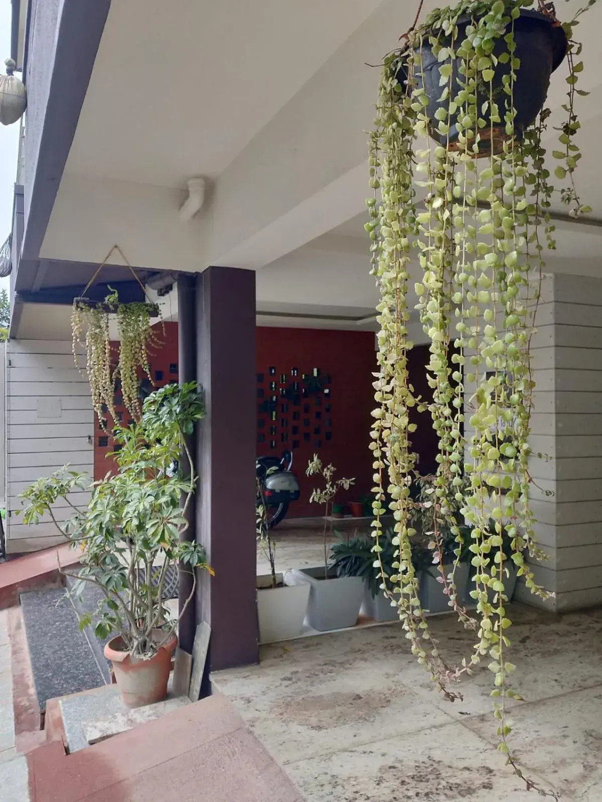 Facade/entrance in Hotel Coffee Bean Facade/entrance in Hotel Coffee Bean