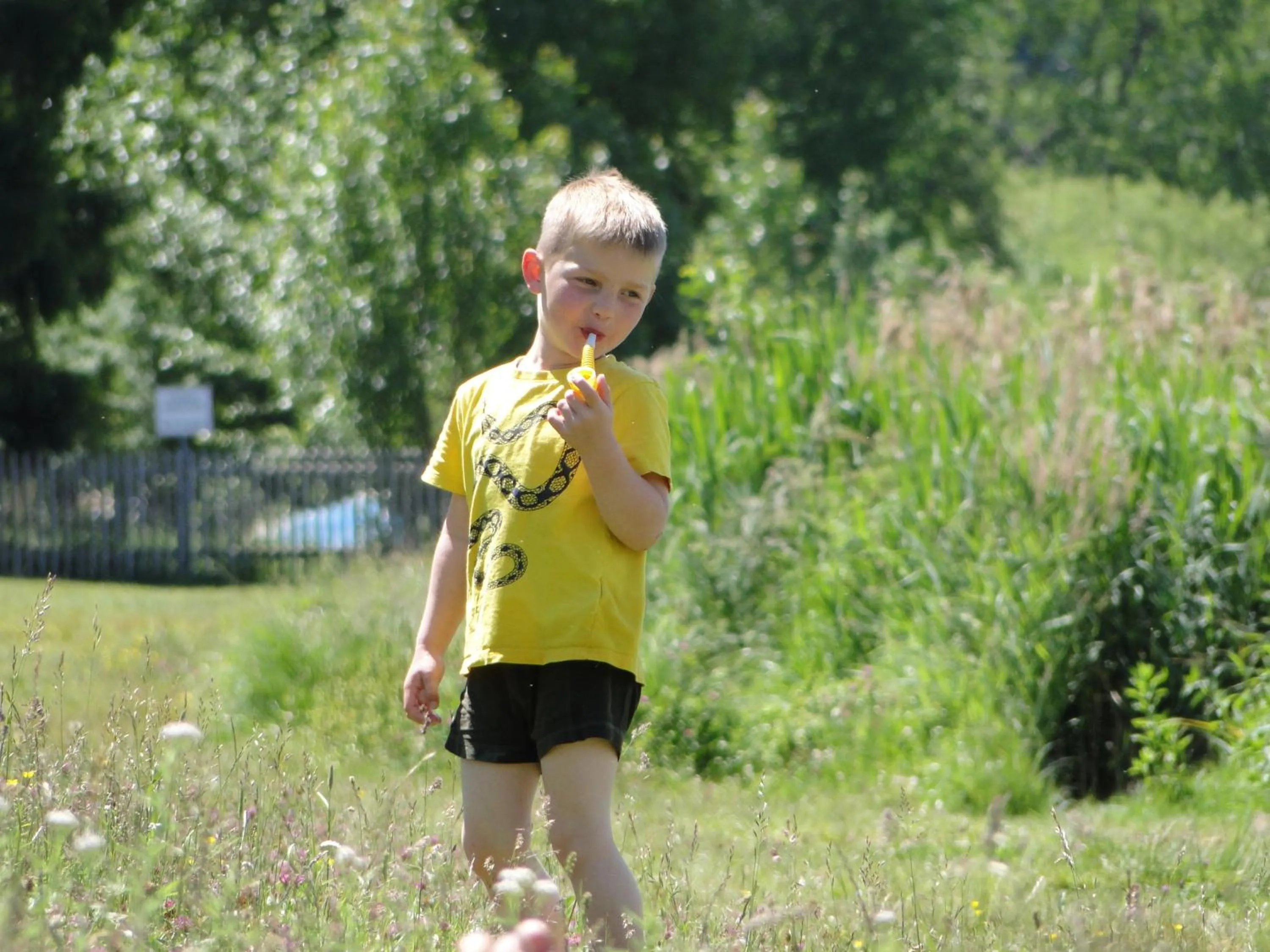 children in Ehrenmättlehof Faißt
