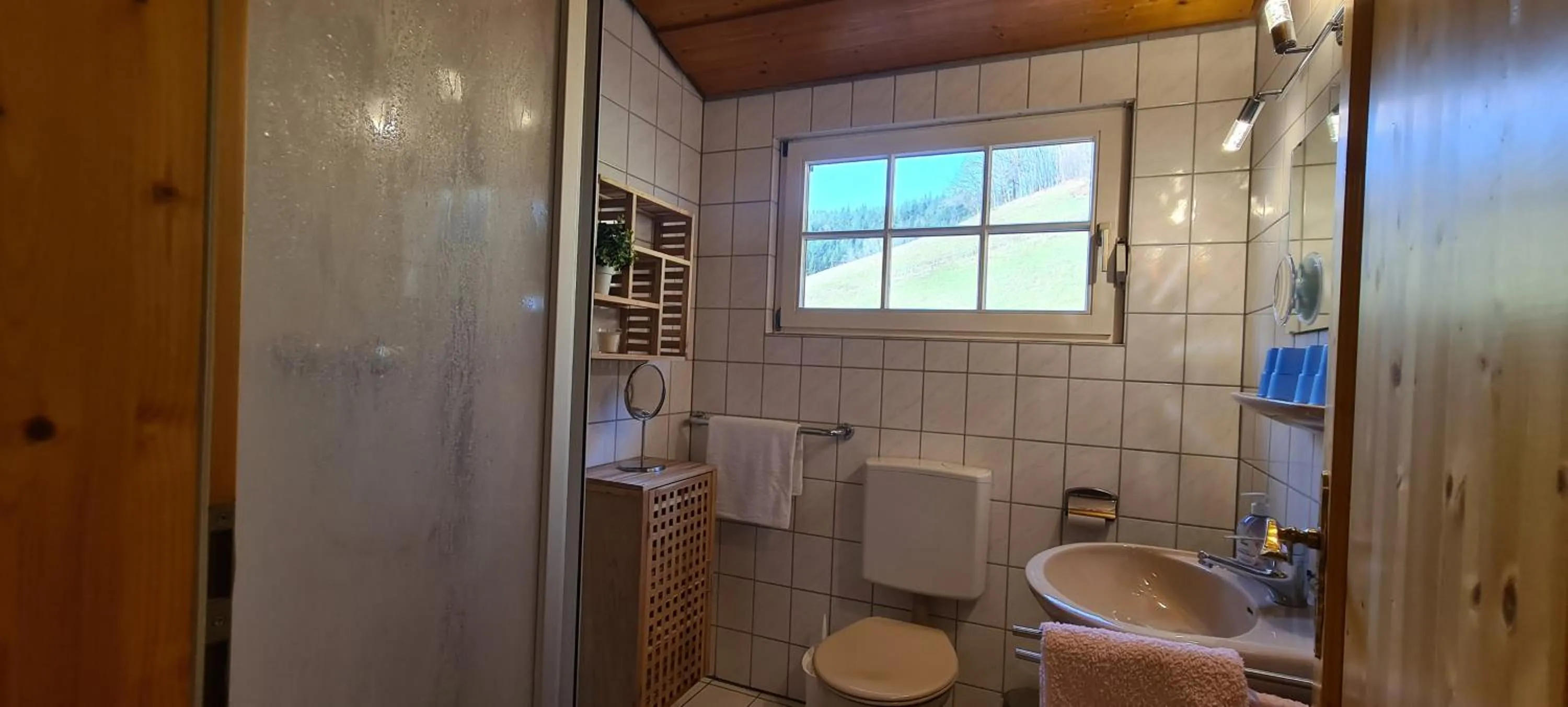 Bathroom in Ehrenmättlehof Faißt