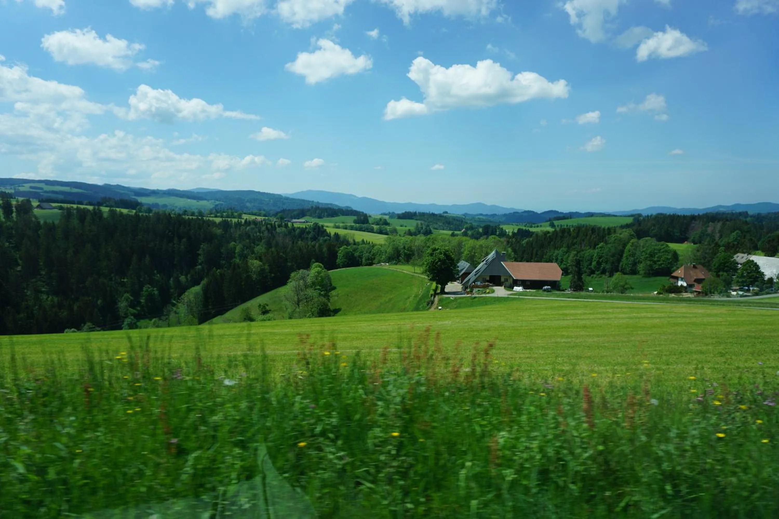 Natural landscape in Ehrenmättlehof Faißt