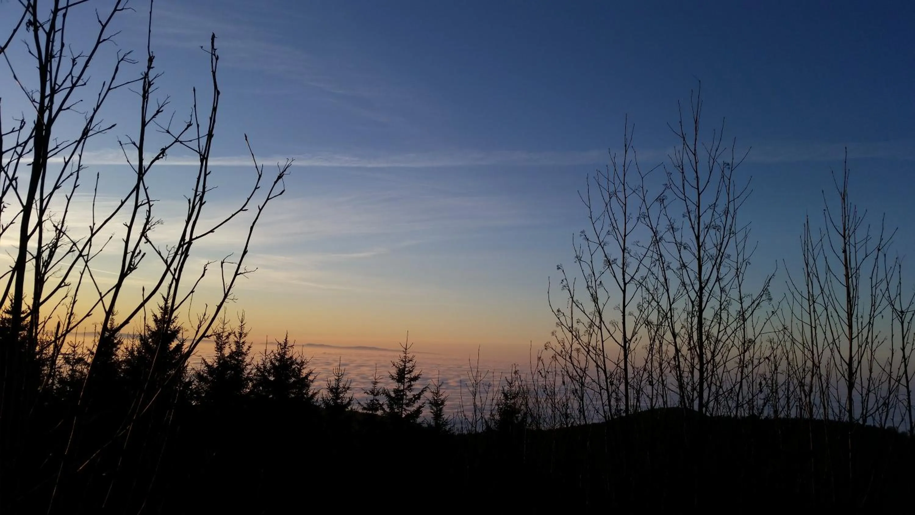 Natural landscape in Ehrenmättlehof Faißt