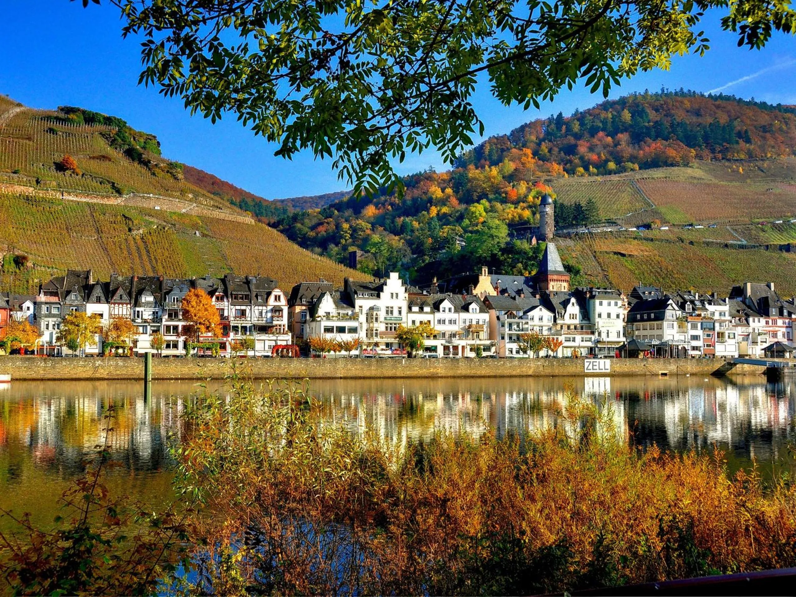 View (from property/room) in Hotel Weingut Dehren