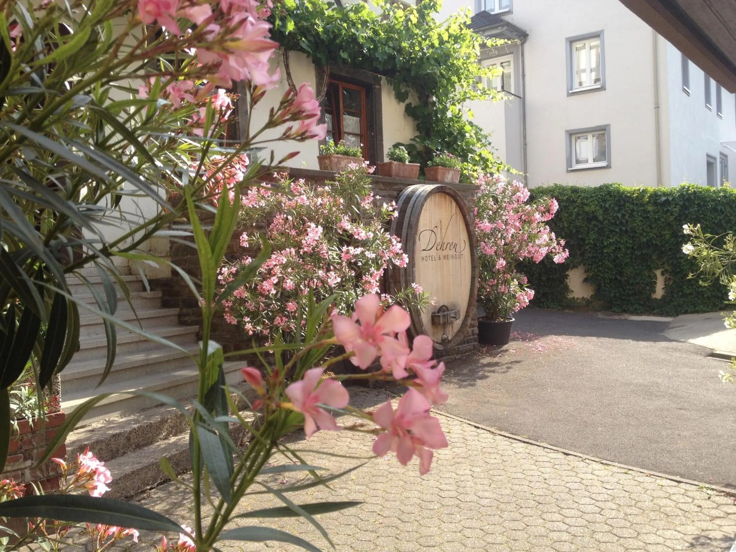 Property building in Hotel Weingut Dehren
